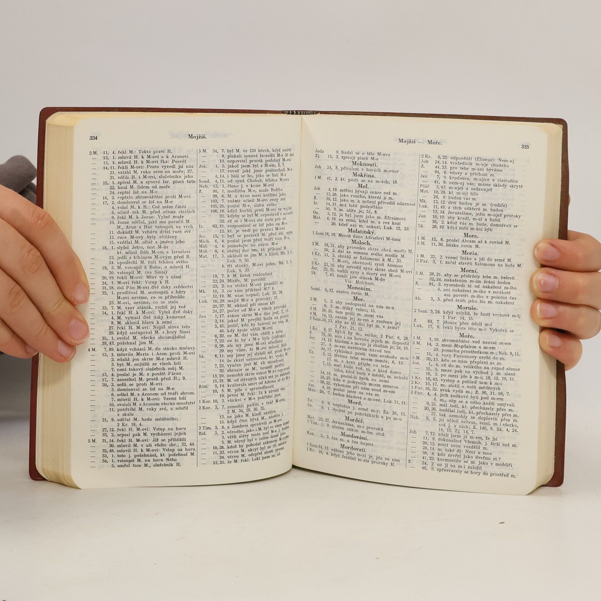 Autorenkollektiv Biblická konkordance
