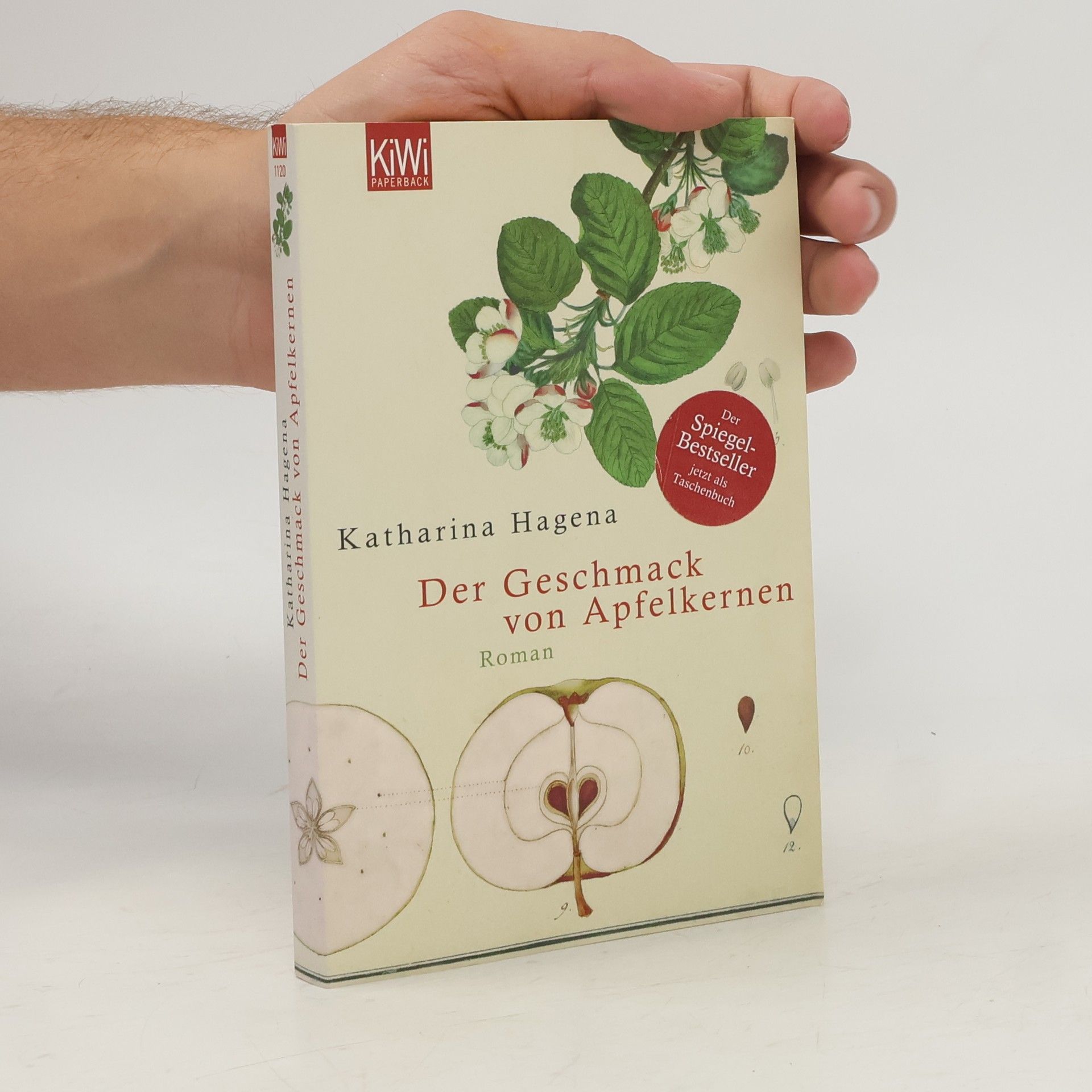 Katharina Hagena Der Geschmack von Apfelkernen