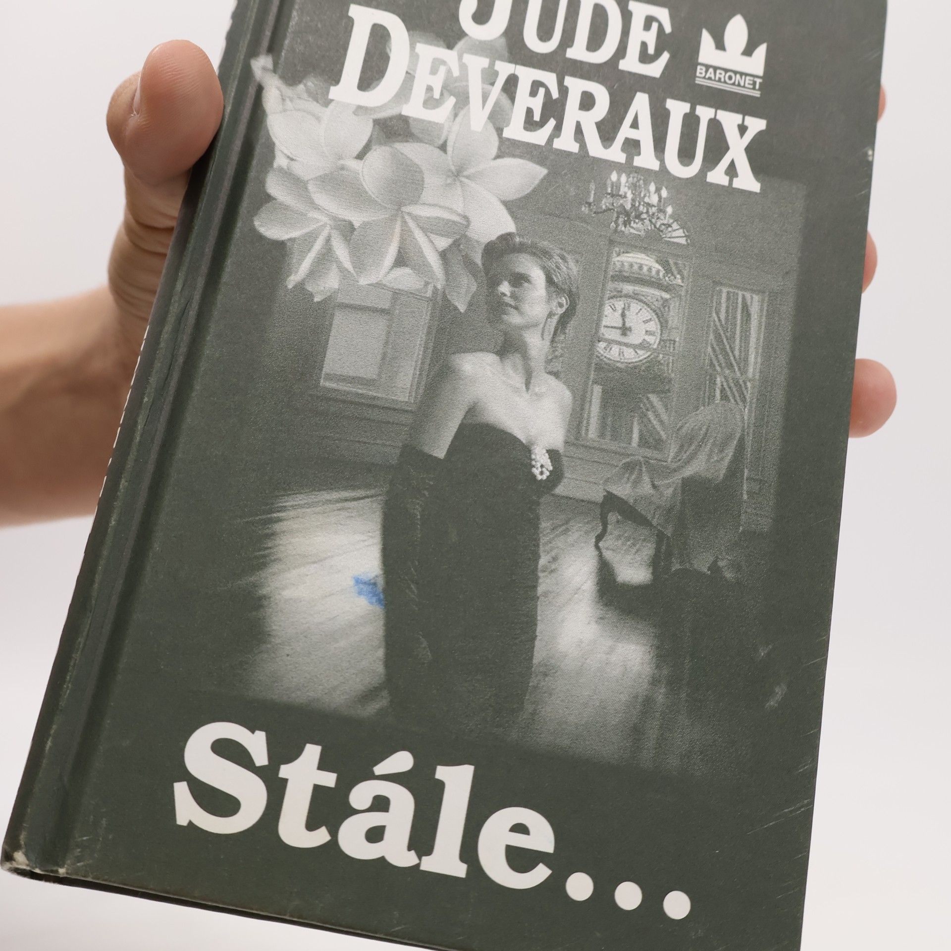 Jude Deveraux Stále...