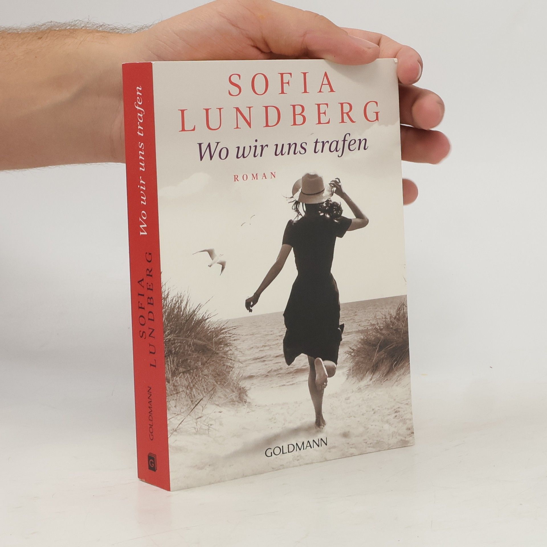 Sofia Lundberg Wo wir uns trafen