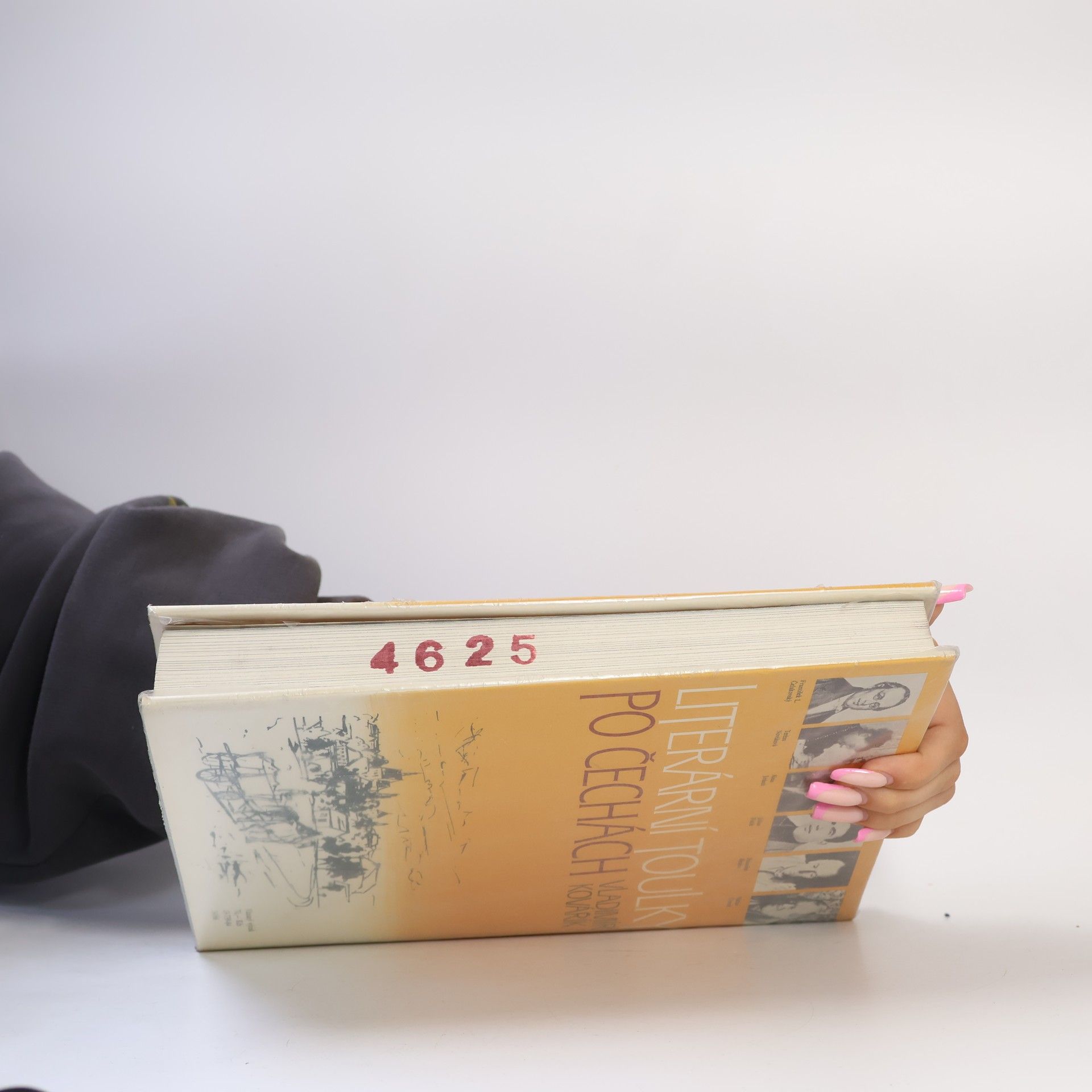Vladimír Kovářík Literární toulky po Čechách