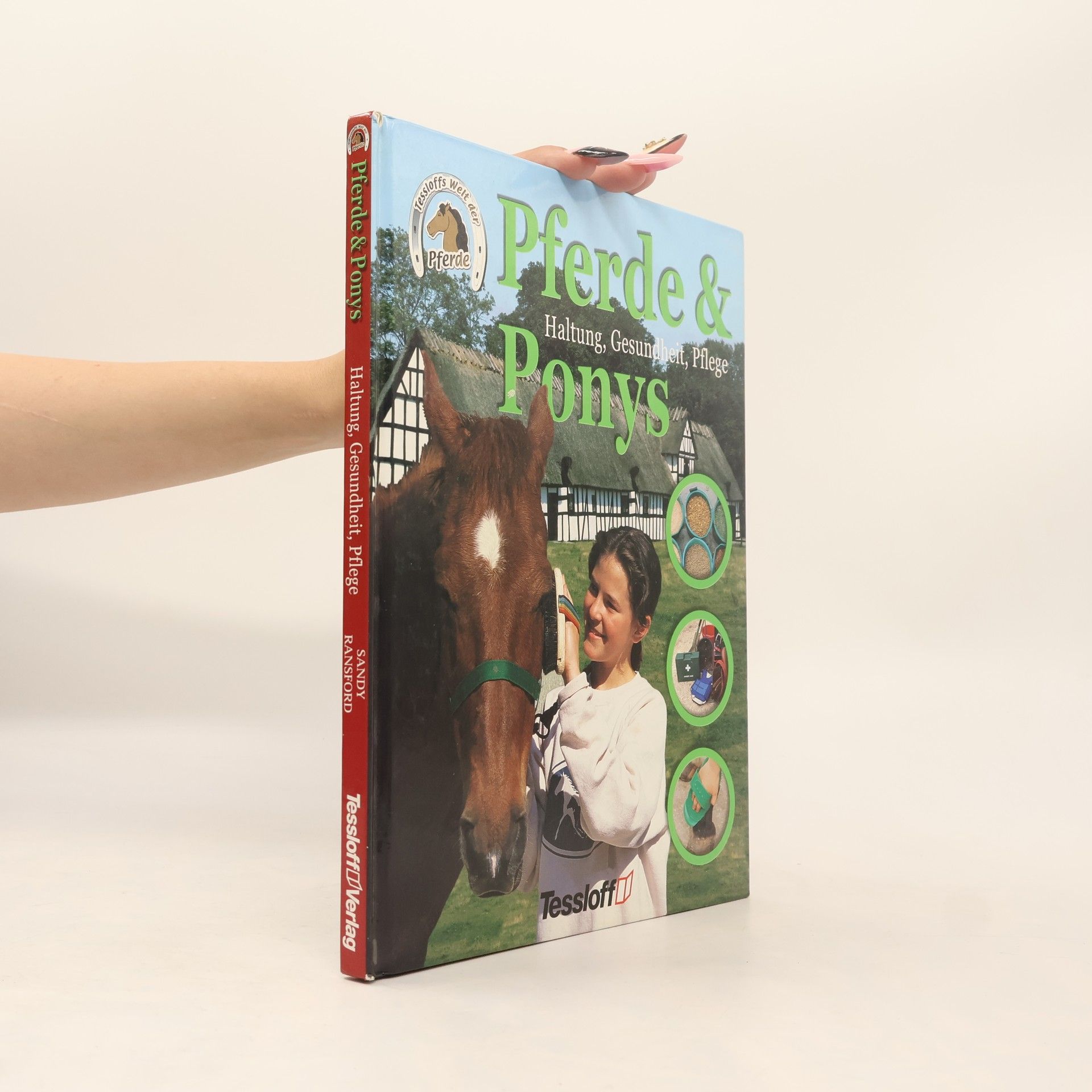 Pferde & Ponys