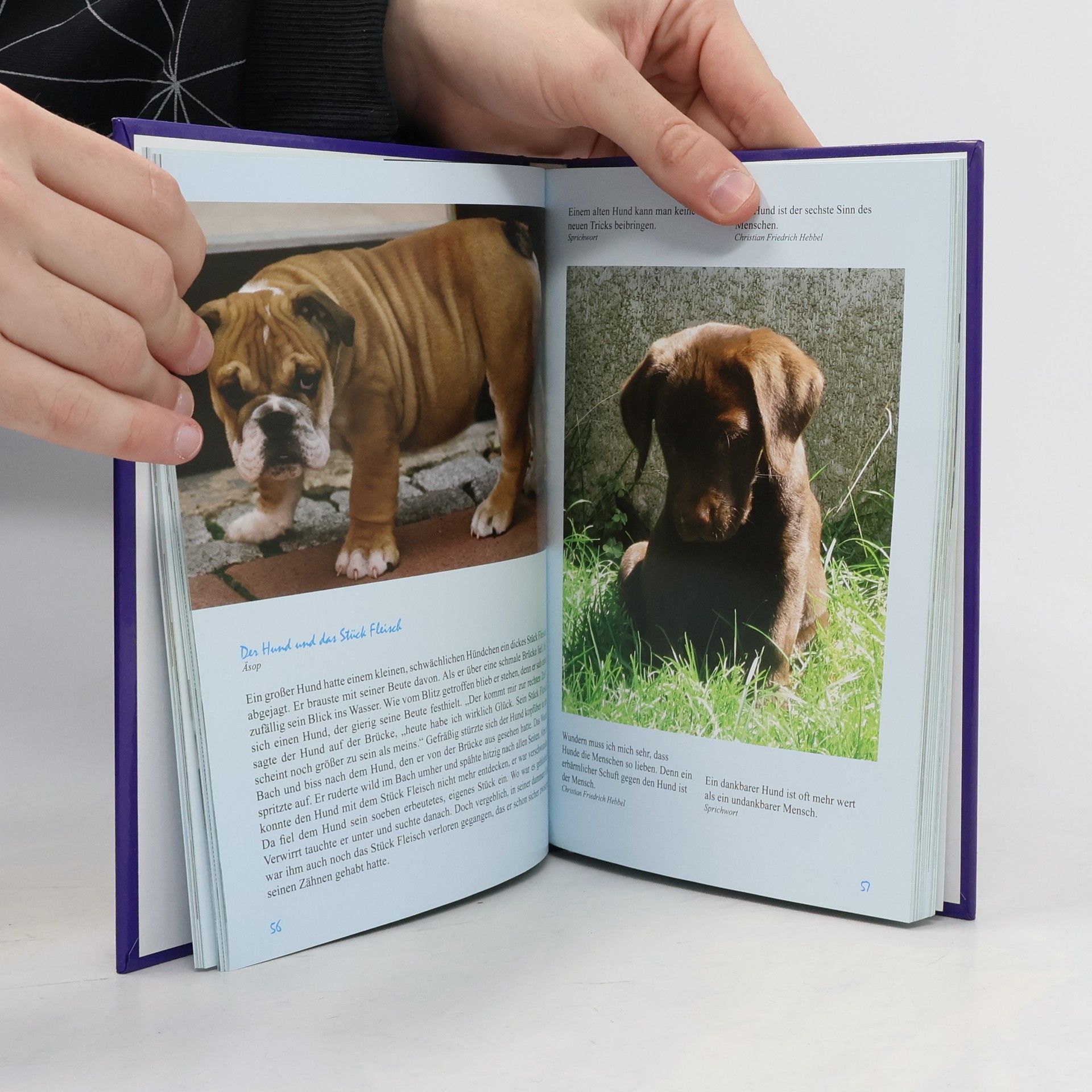 Autorenkollektiv Ein Lesebuch für Hundefreunde
