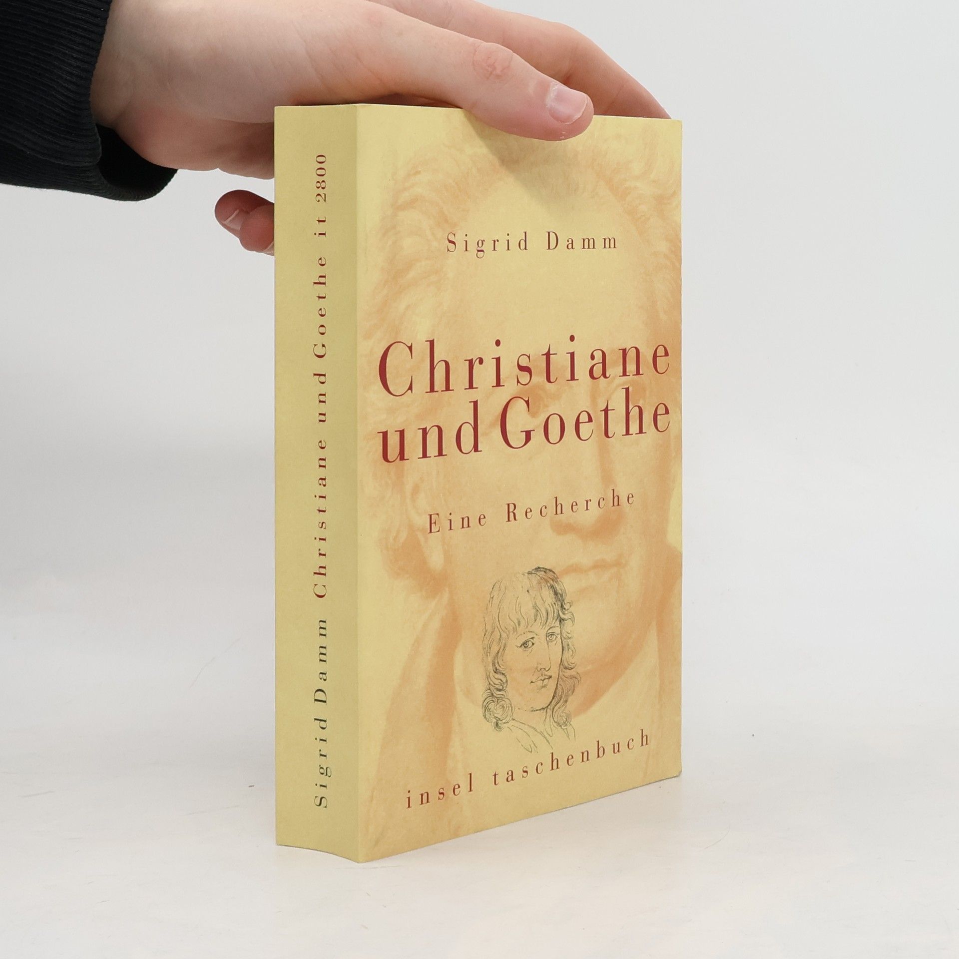 Sigrid Damm Christiane und Goethe