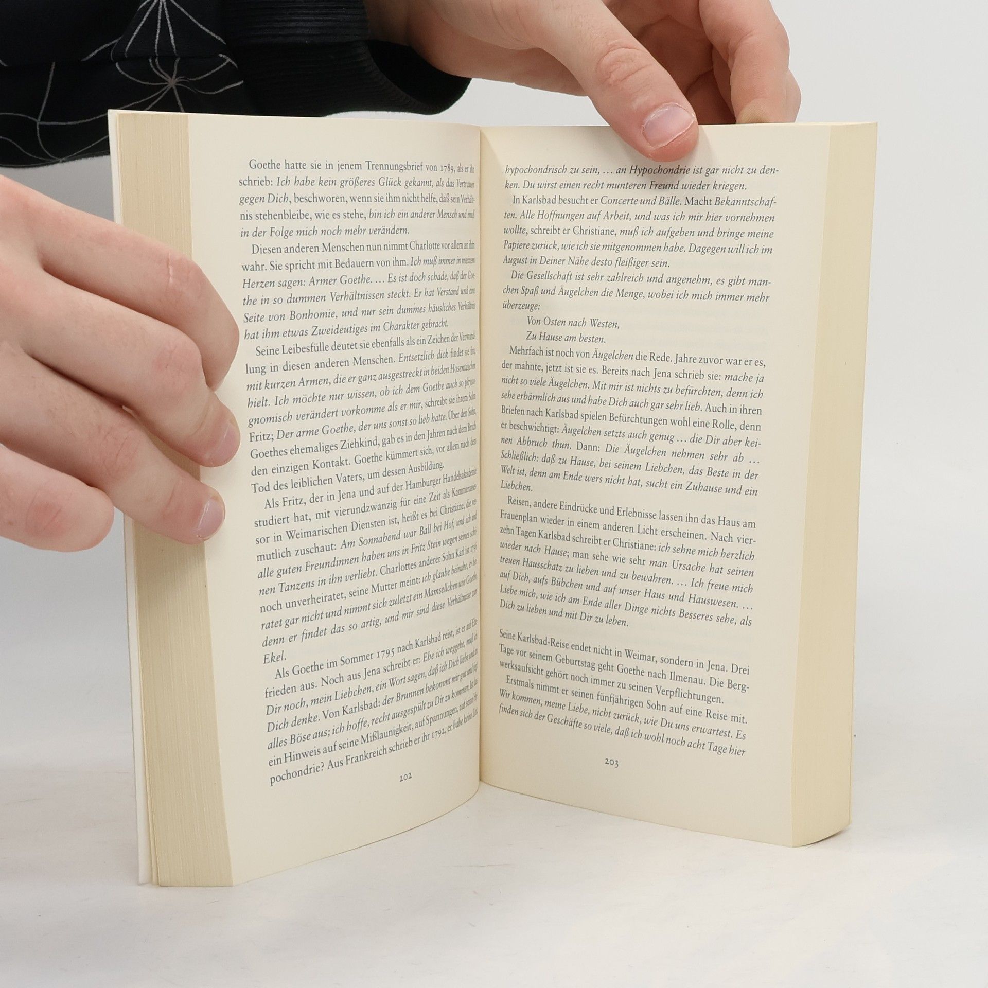 Sigrid Damm Christiane und Goethe