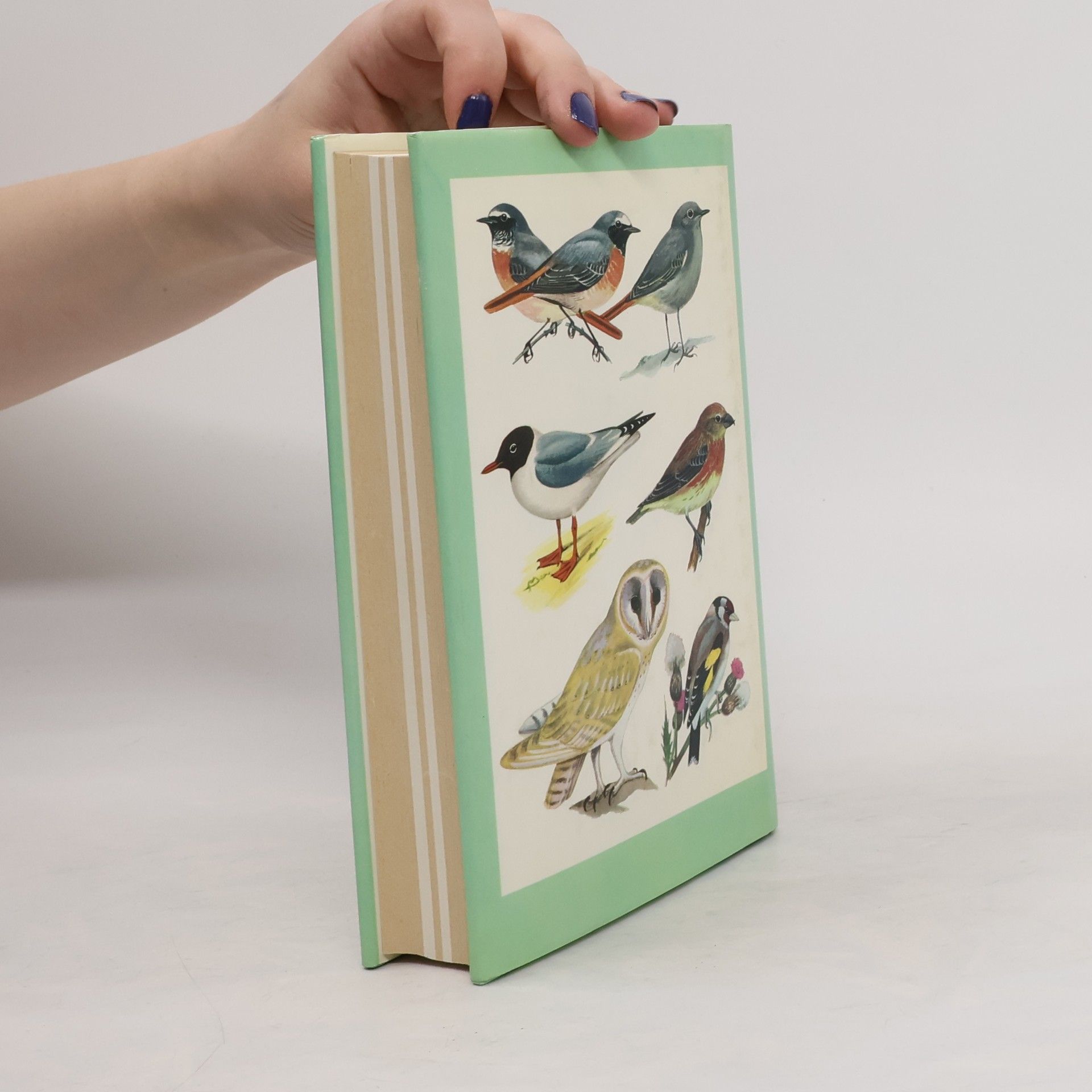 Richard Sidney Collins Pocket Guide to British Birds