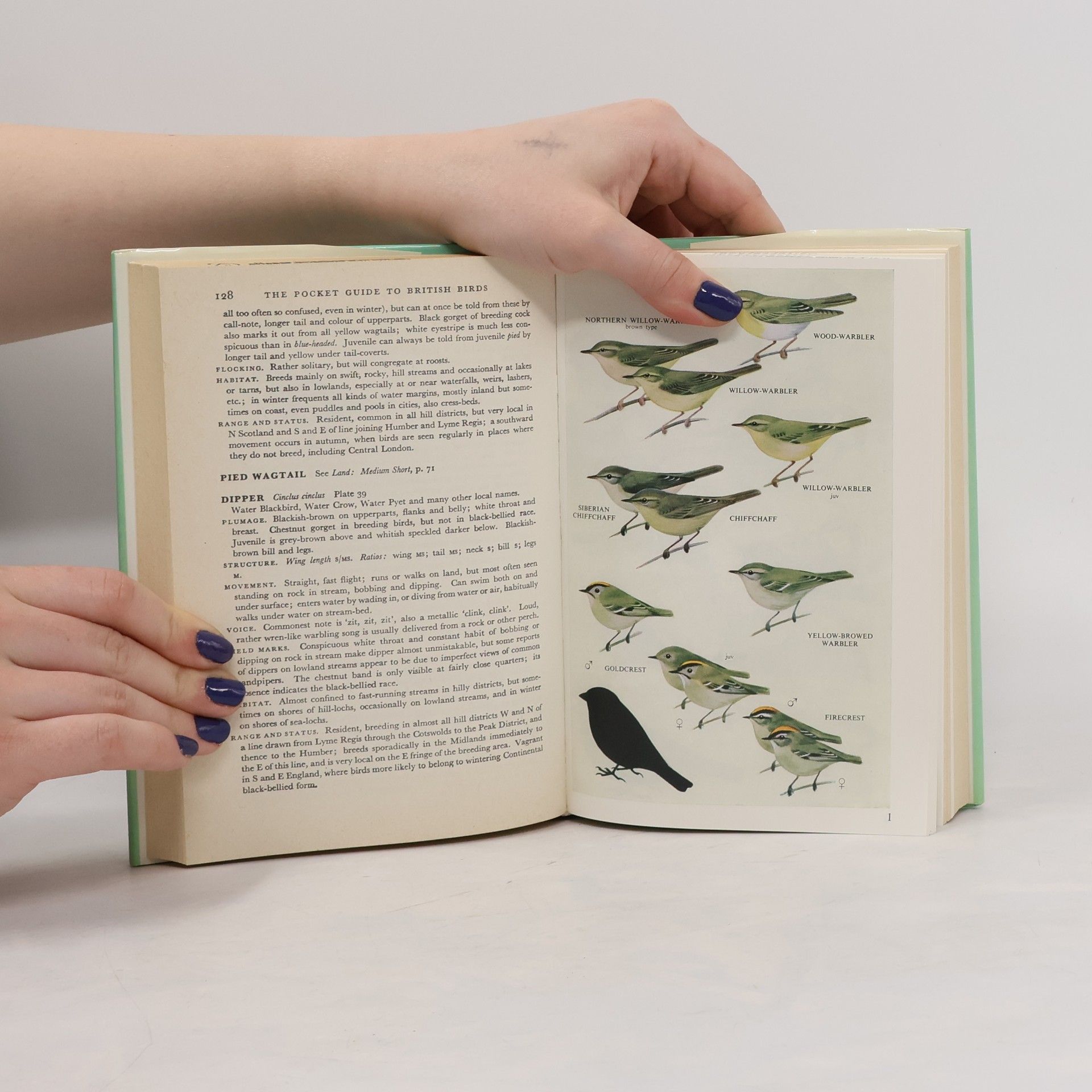 Richard Sidney Collins Pocket Guide to British Birds