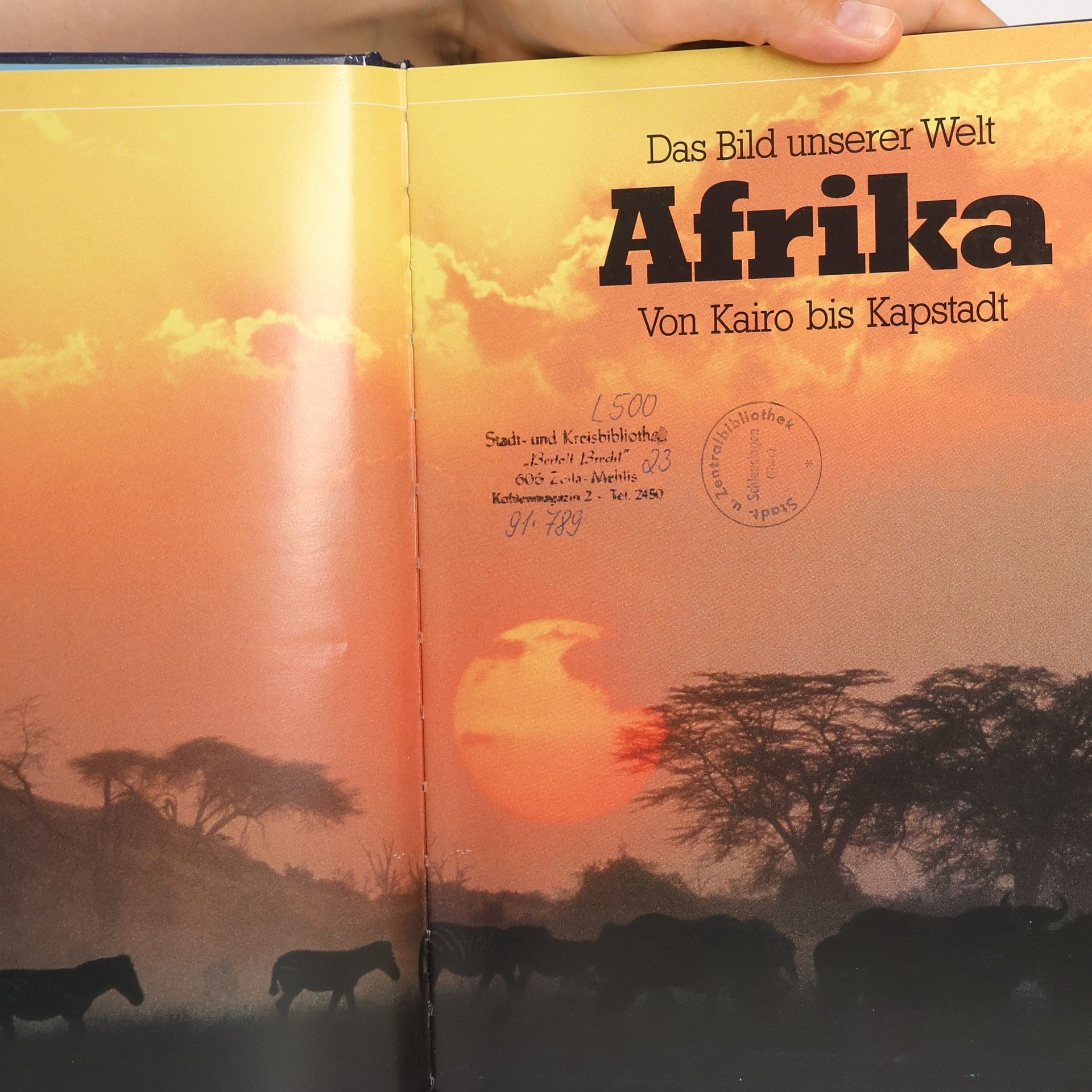Autorenkollektiv Das Bild unserer Welt 4. Afrika