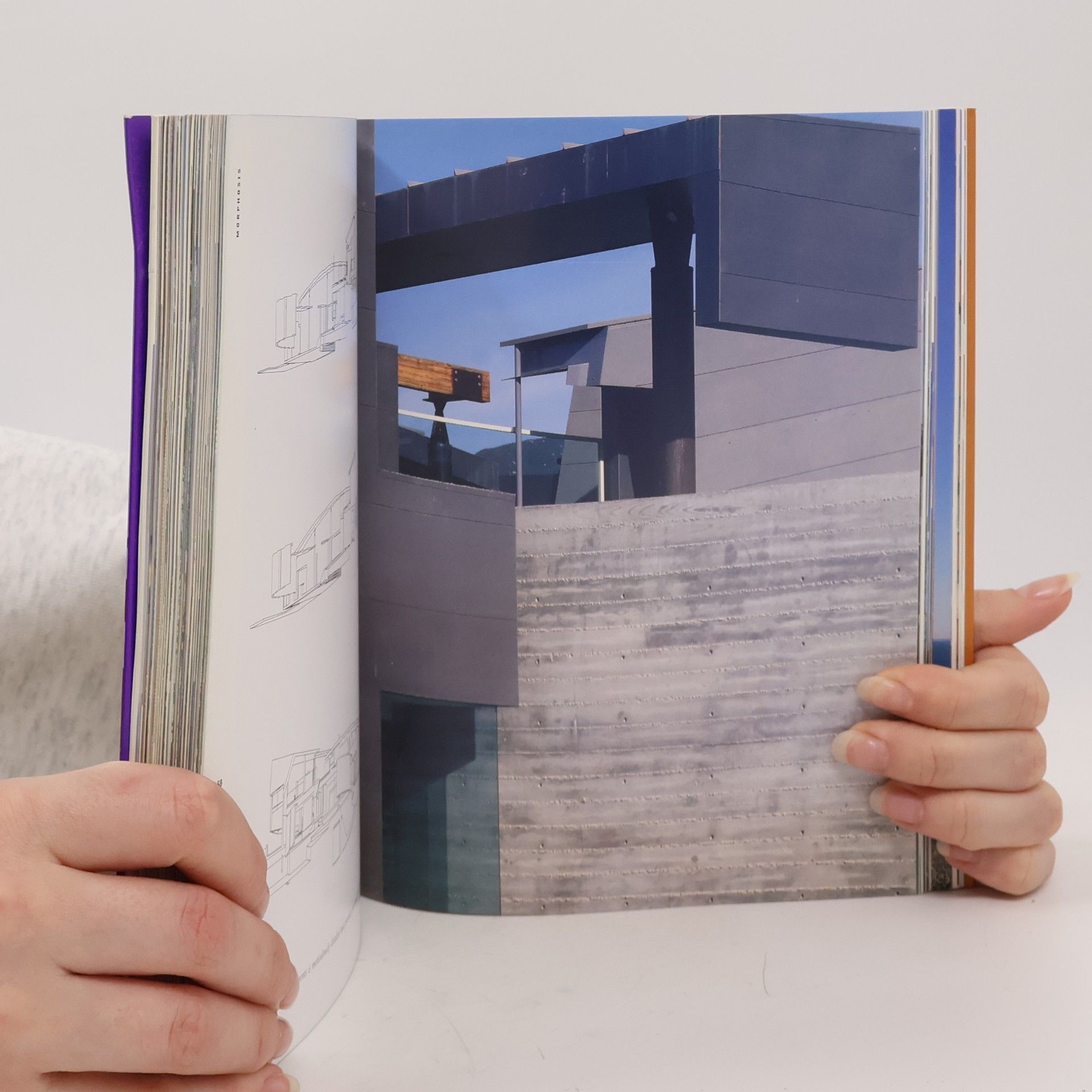 Daralice Boles American House Now. Contemporary Architectural Design