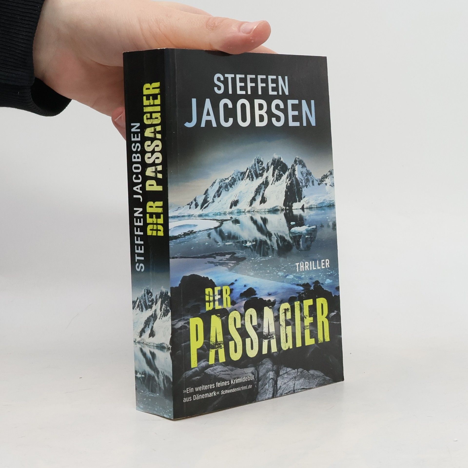 Steffen Jacobsen Der Passagier
