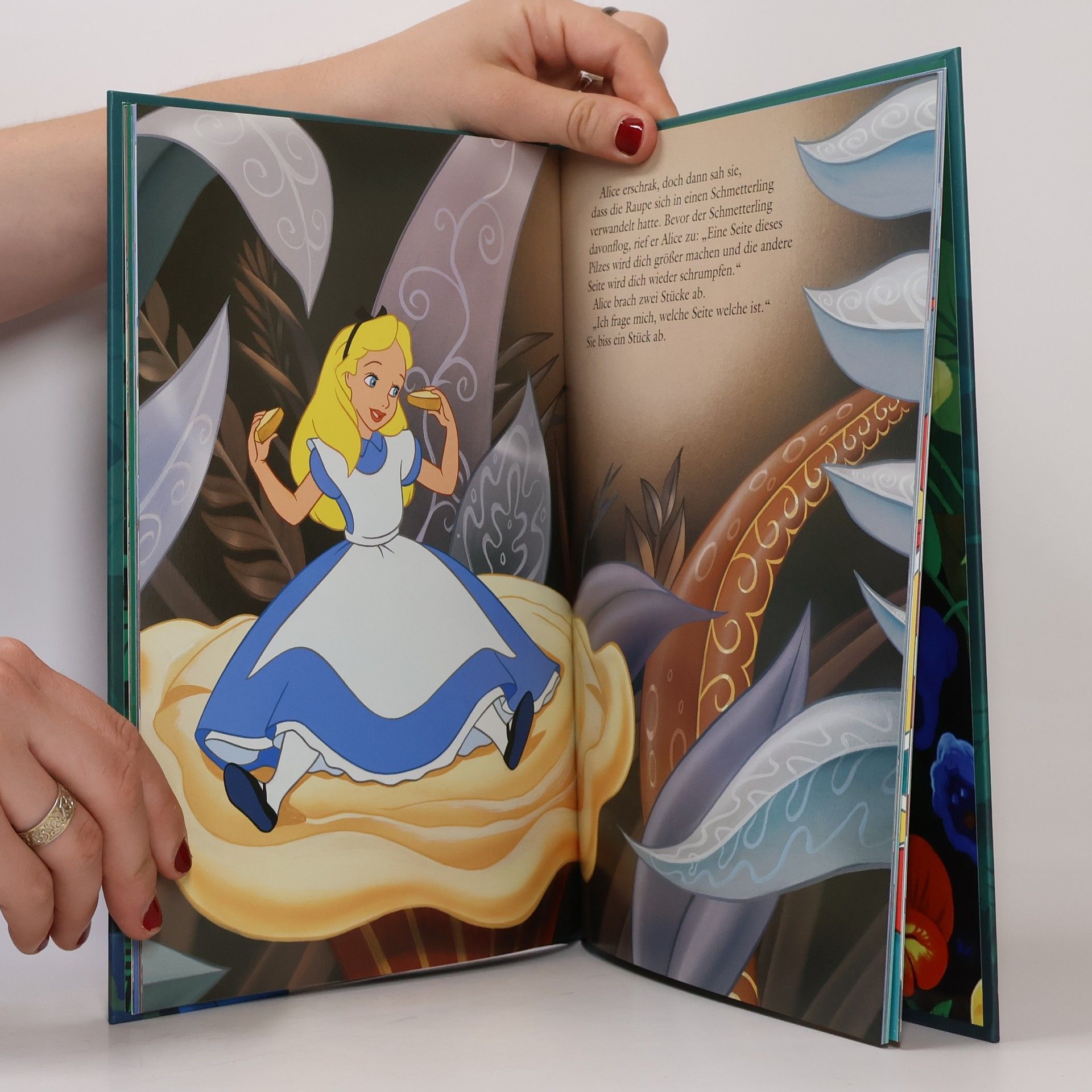 Kolektiv autorů Alice im Wunderland