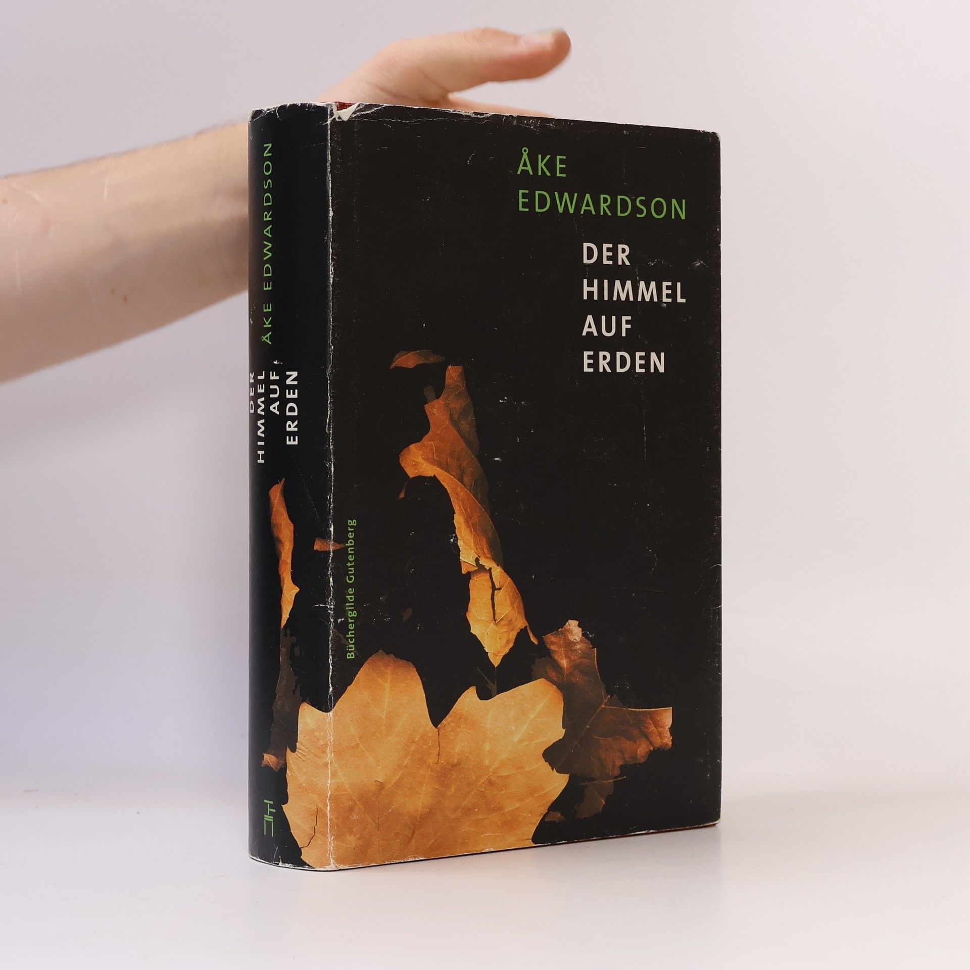 Åke Edwardson Der Himmel auf Erden