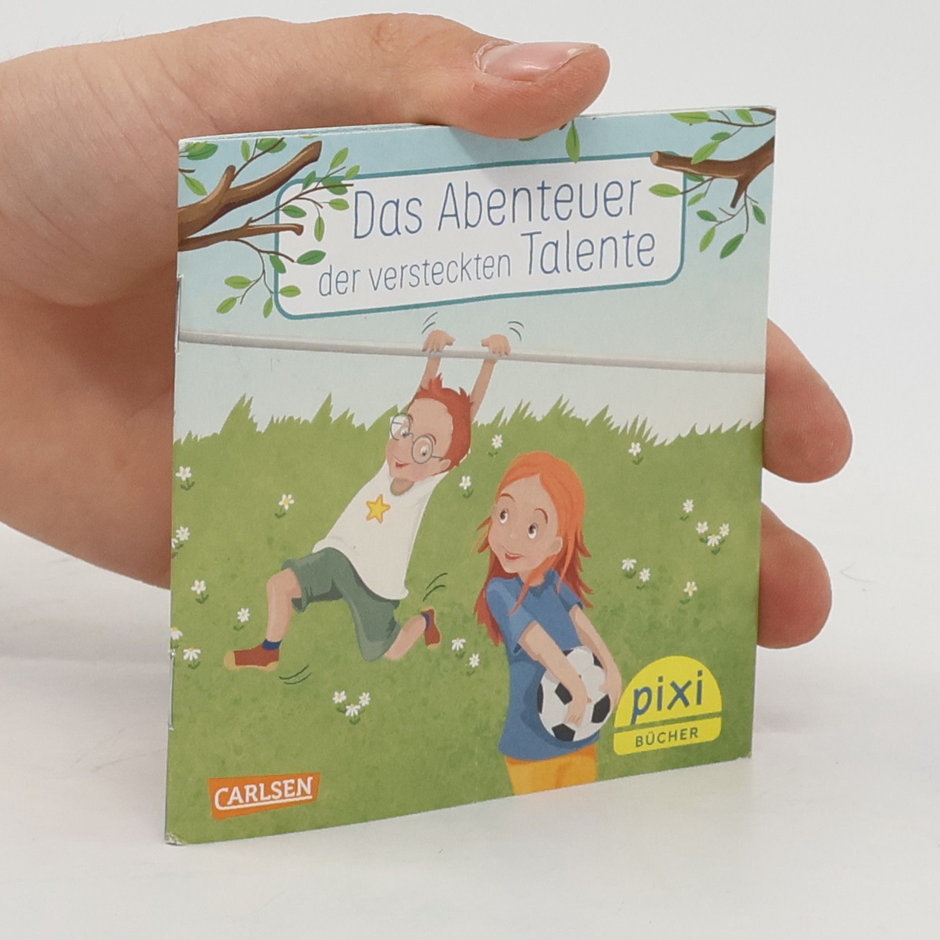 Autorenkollektiv Das Abenteuer der versteckten Talente