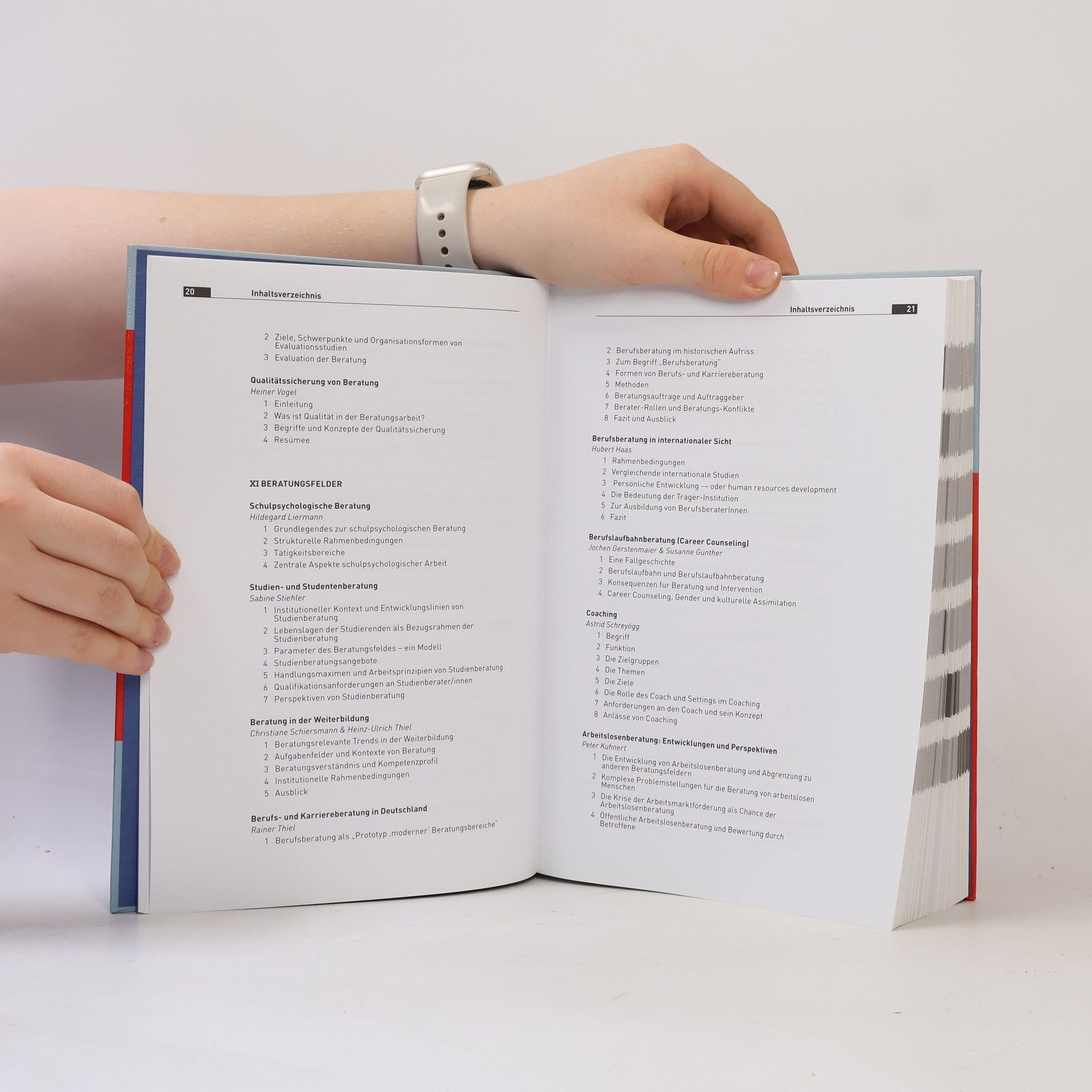 Frank Nestmann Das Handbuch der Beratung 1