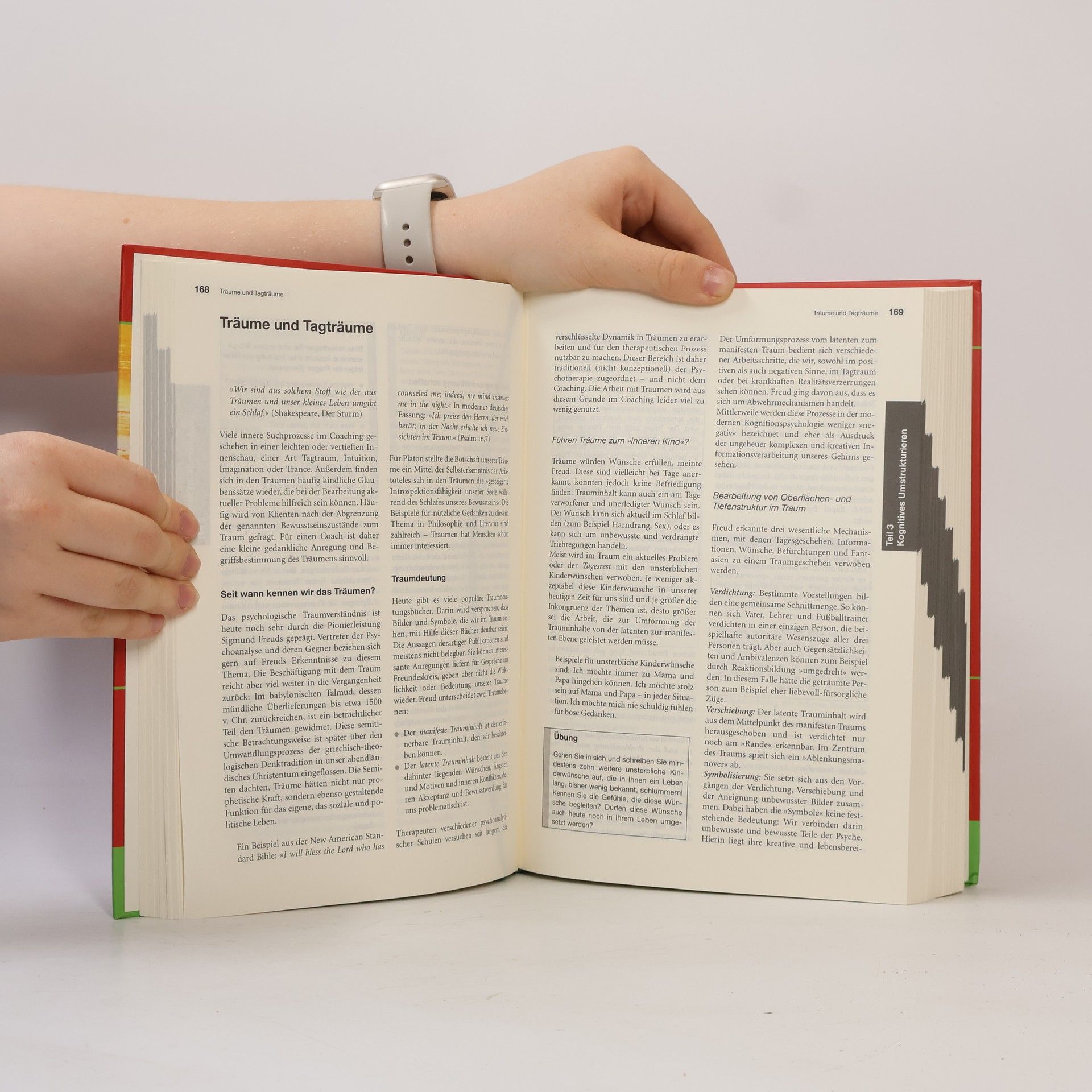 Björn Migge Handbuch Coaching und Beratung