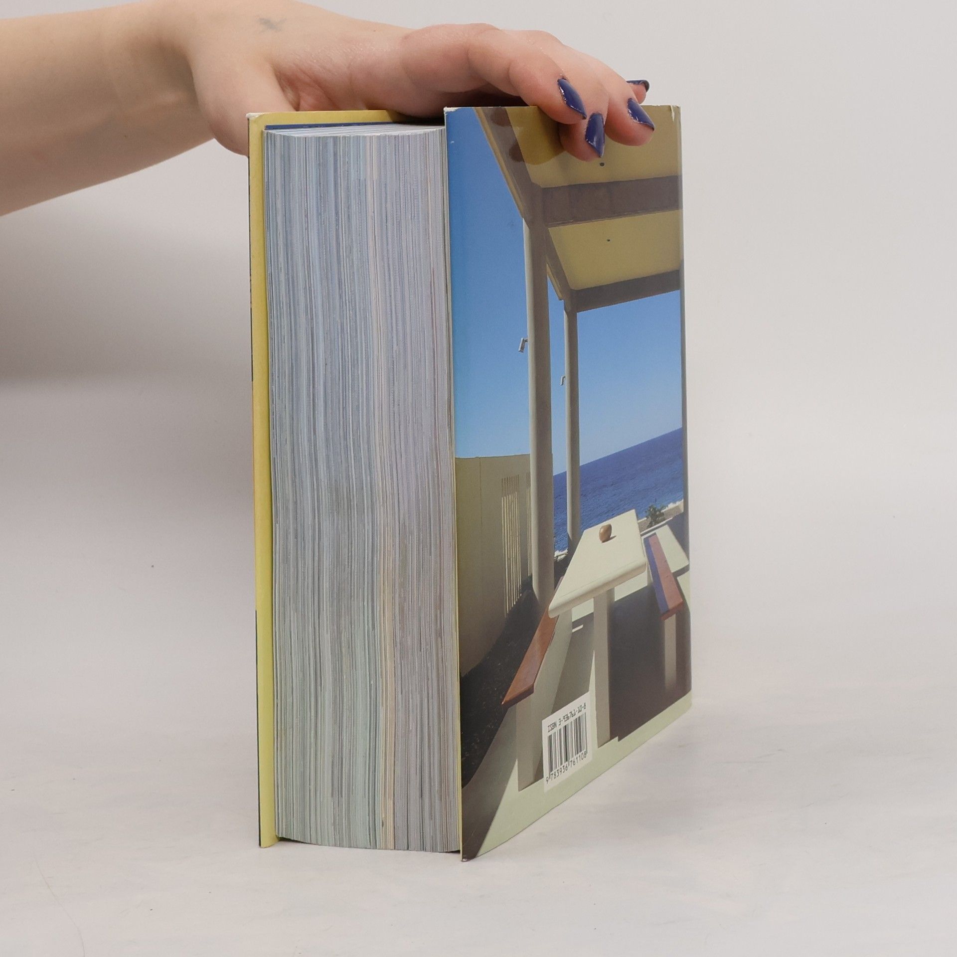 Cynthia Reschke Das große Buch des Wohnens