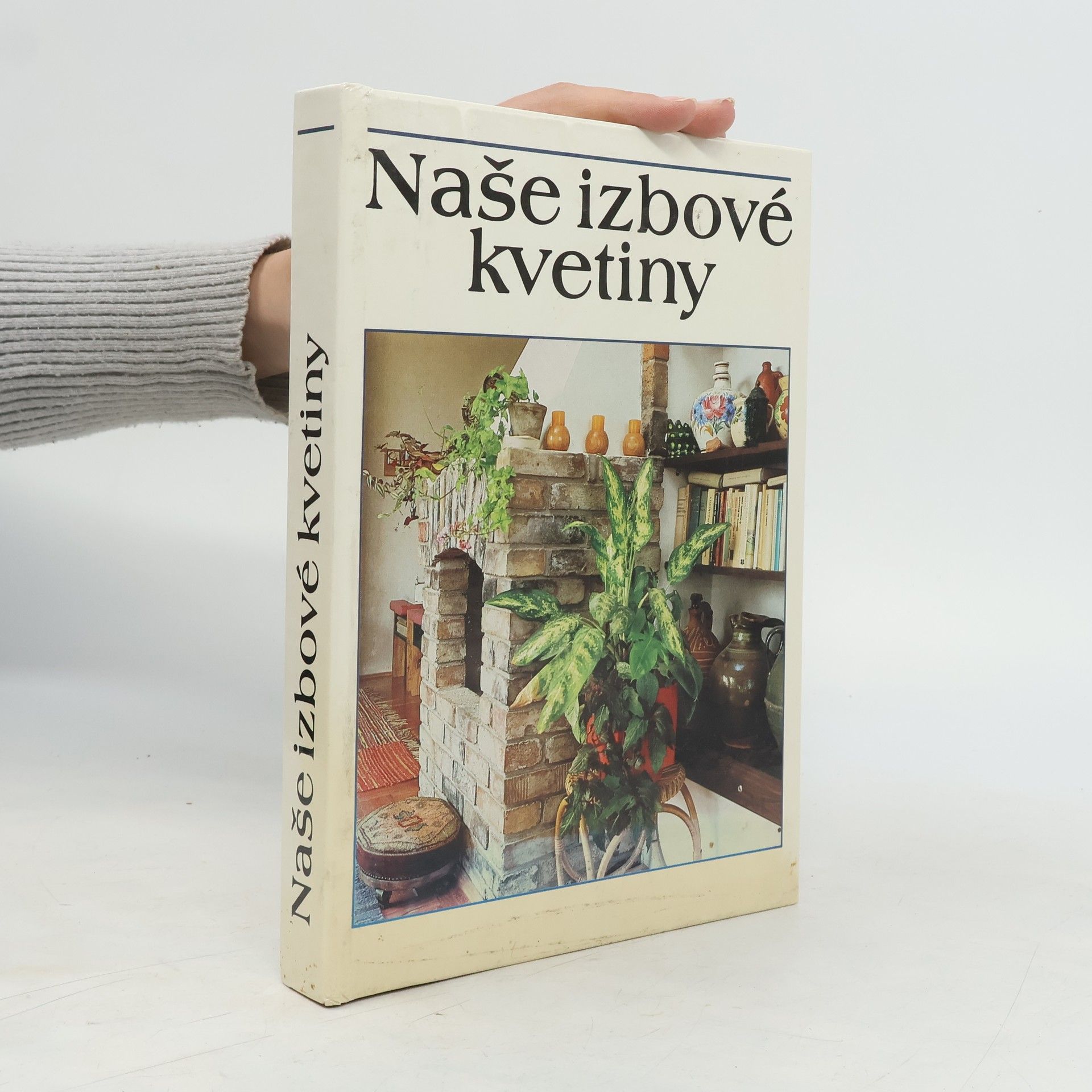 Lajos Lelkes Naše izbové kvetiny