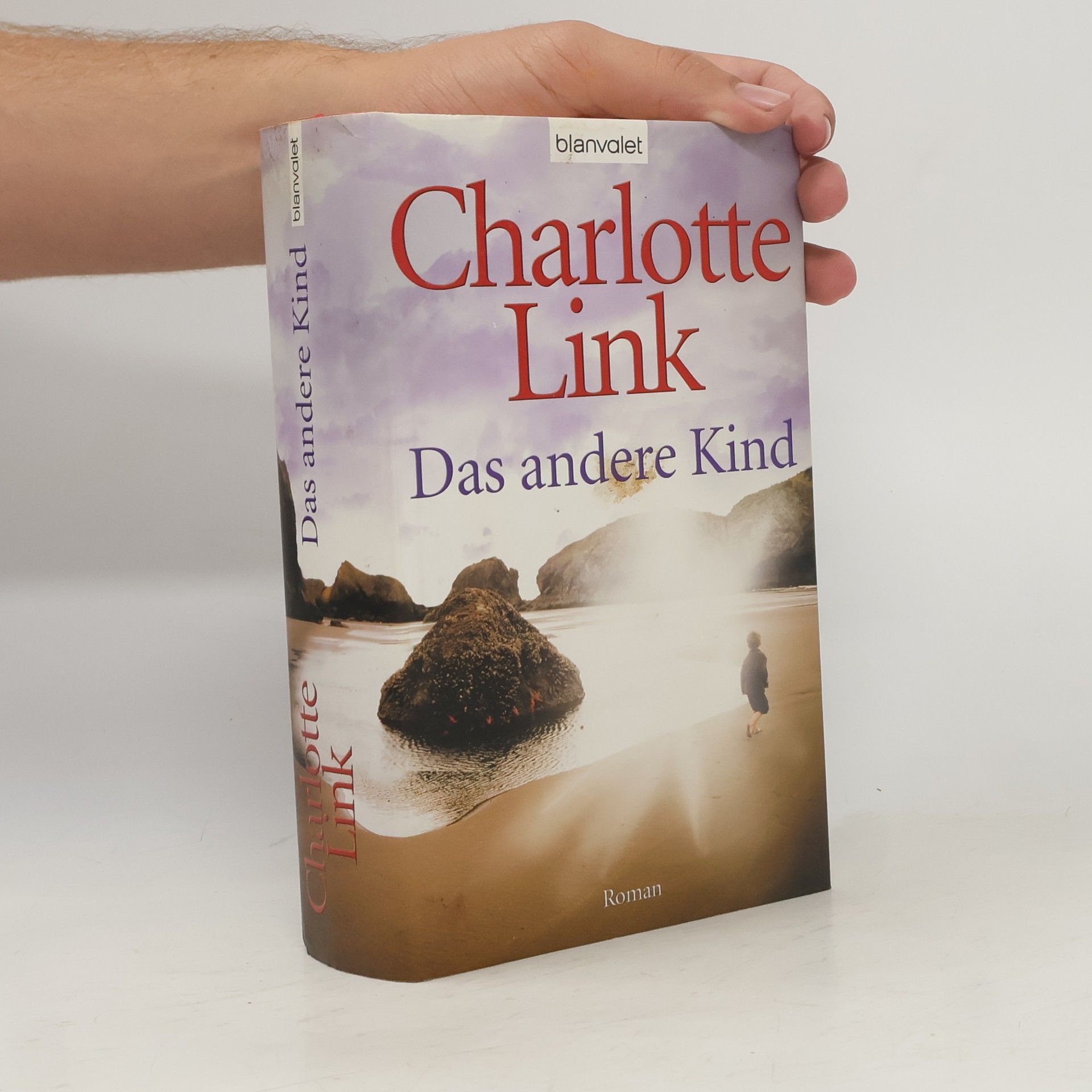 Charlotte Link Das andere Kind