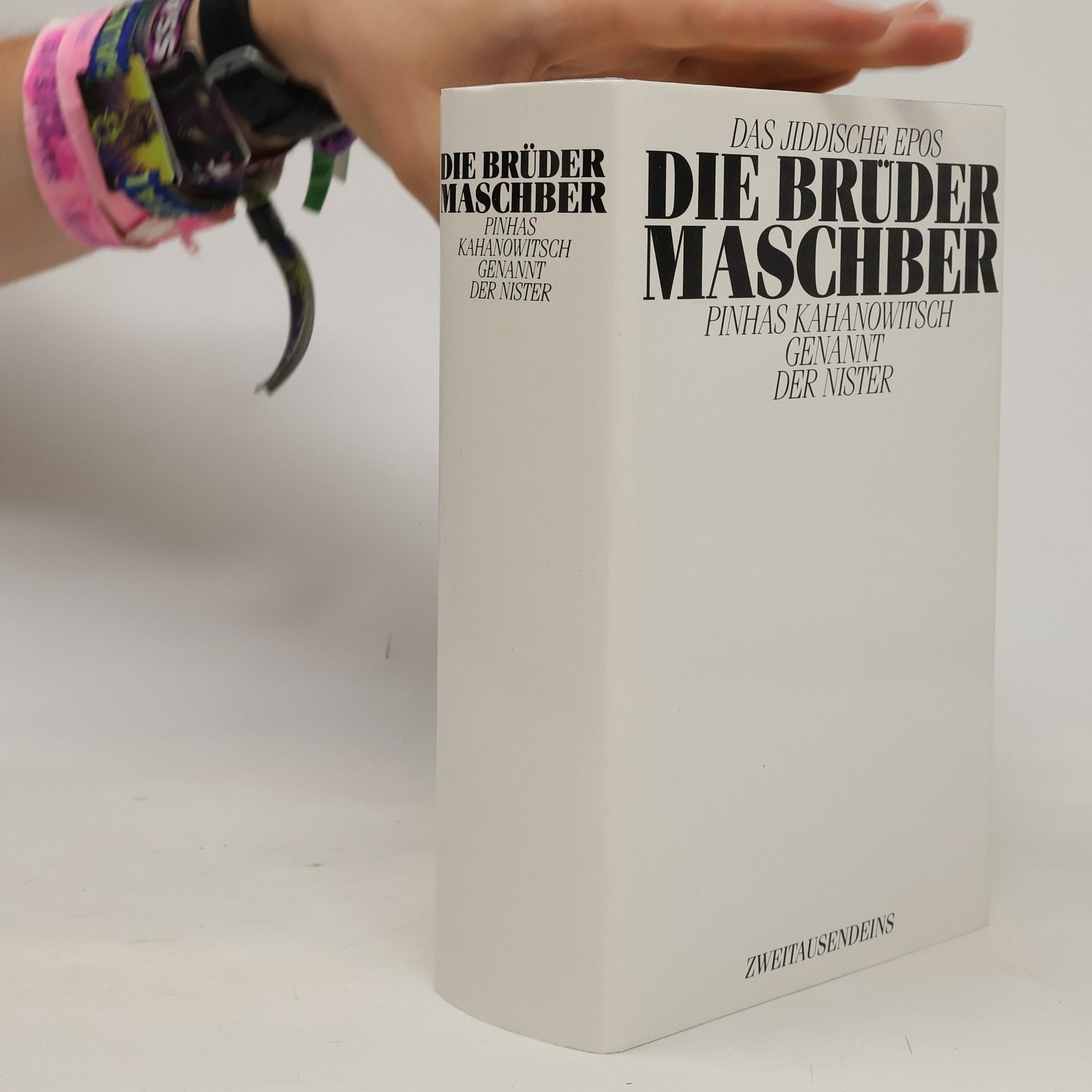 Der Nister Die Brüder Maschber