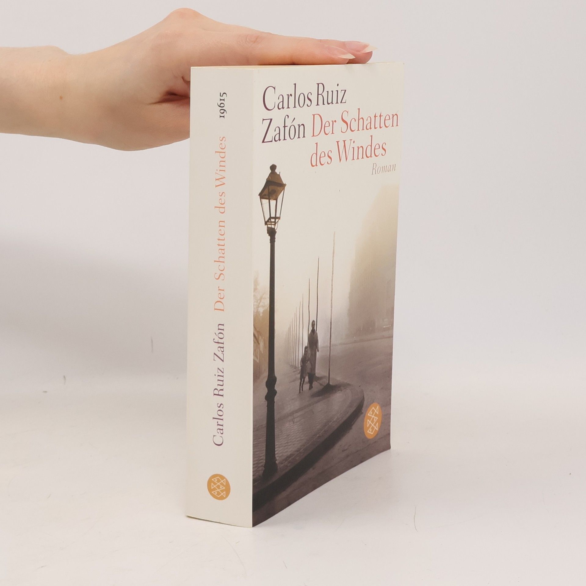 Carlos Ruiz Safon Der Schatten des Windes