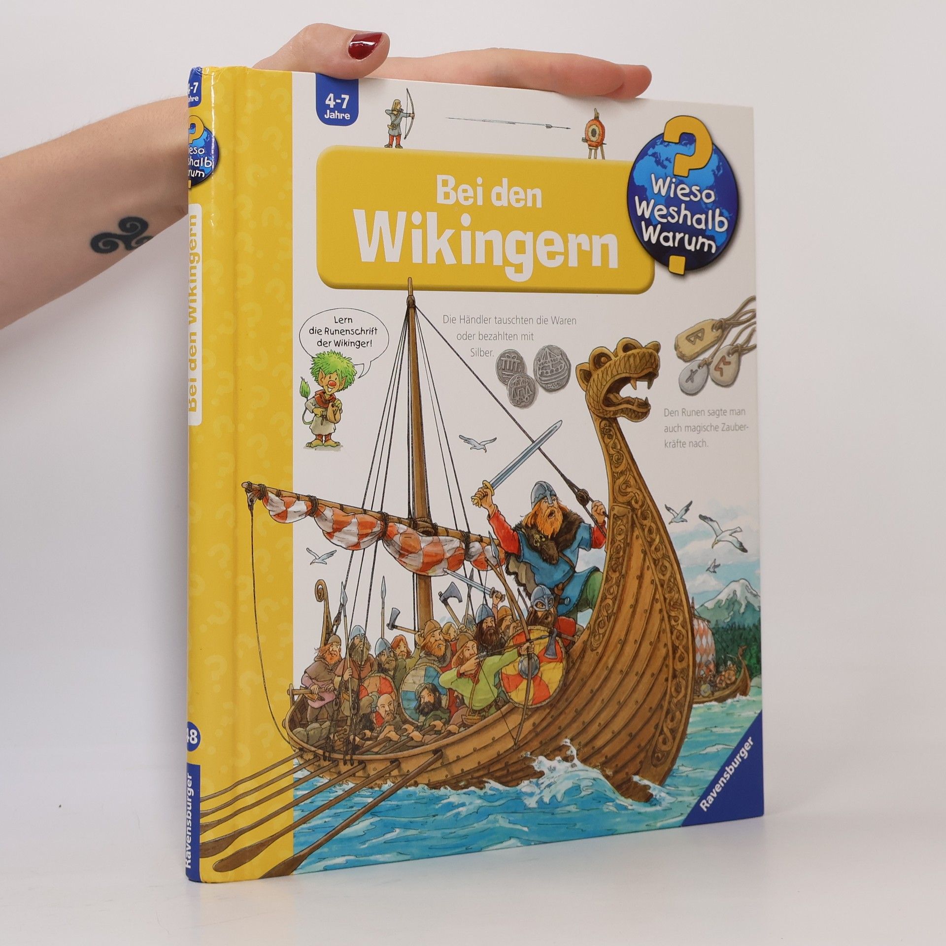 Peter Nieländer Bei den Wikingern