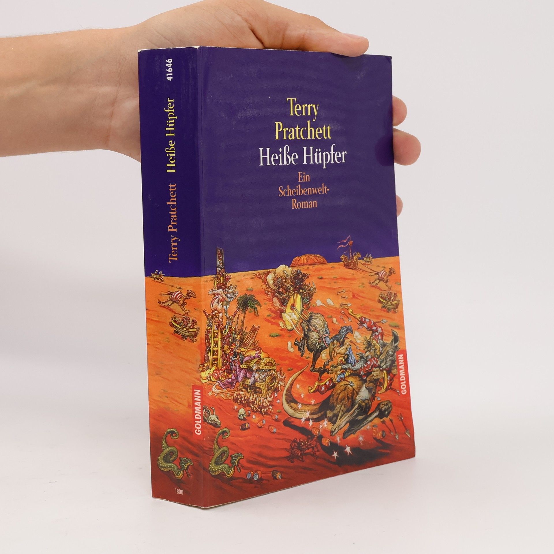 Terry Pratchett Heiße Hüpfer