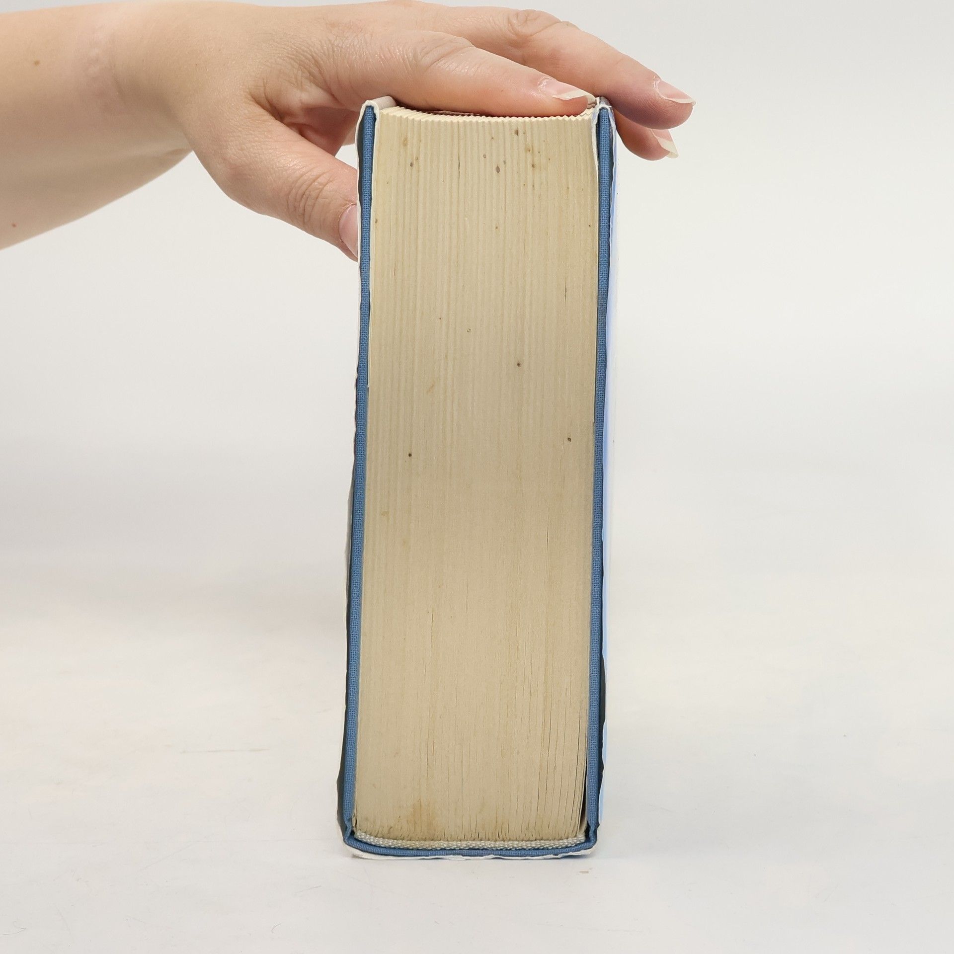 Karl Otto Conrady Das große deutsche Gedichtbuch