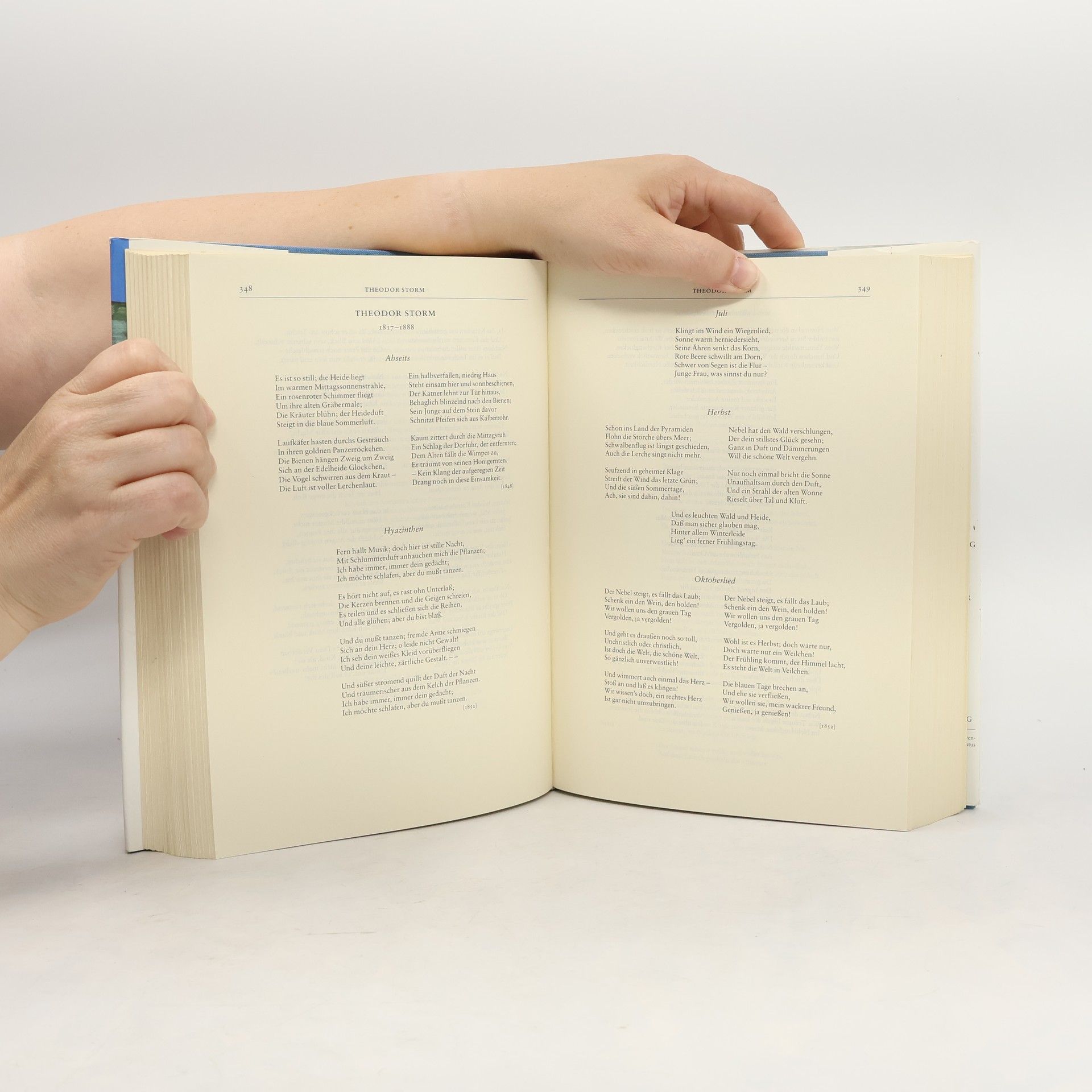 Karl Otto Conrady Das große deutsche Gedichtbuch