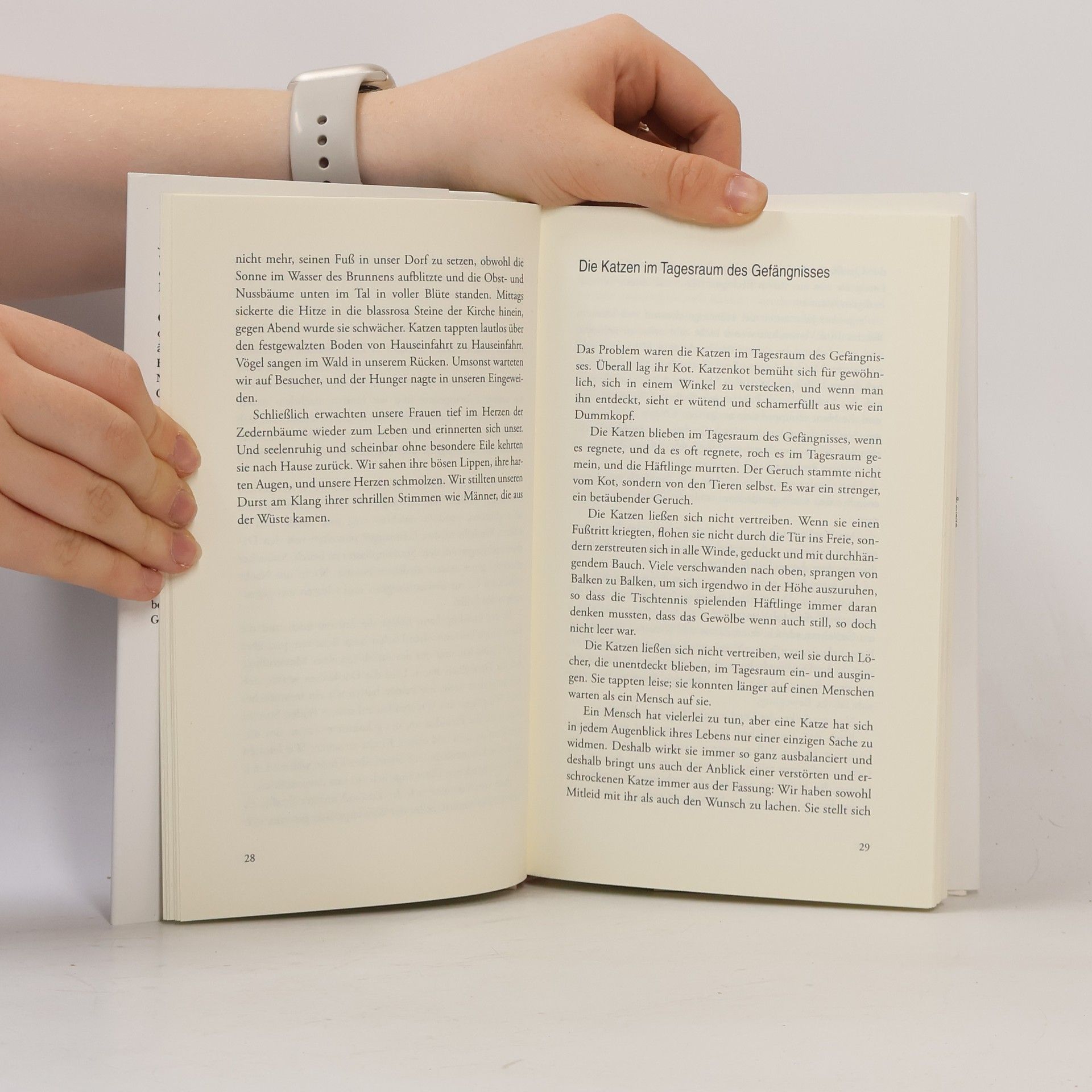 Lydia Davis Fast keine Erinnerung