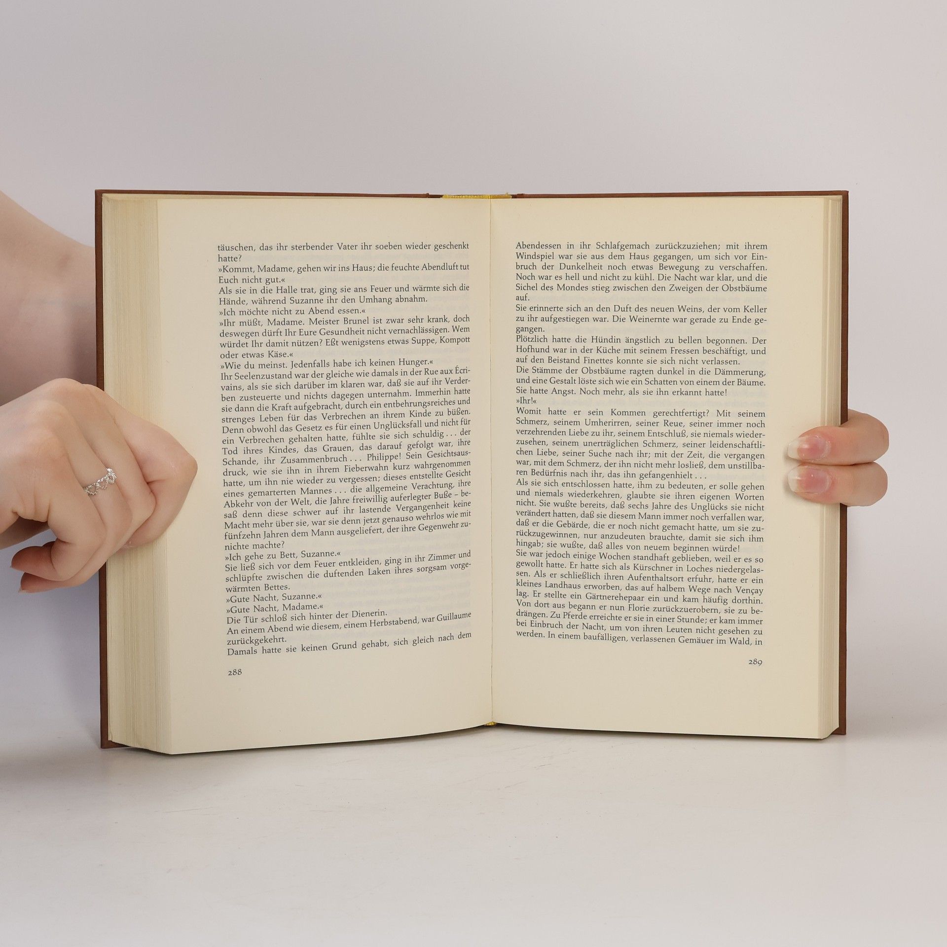 Jeanne Bourin Florie. Die Tochter des Goldschmieds