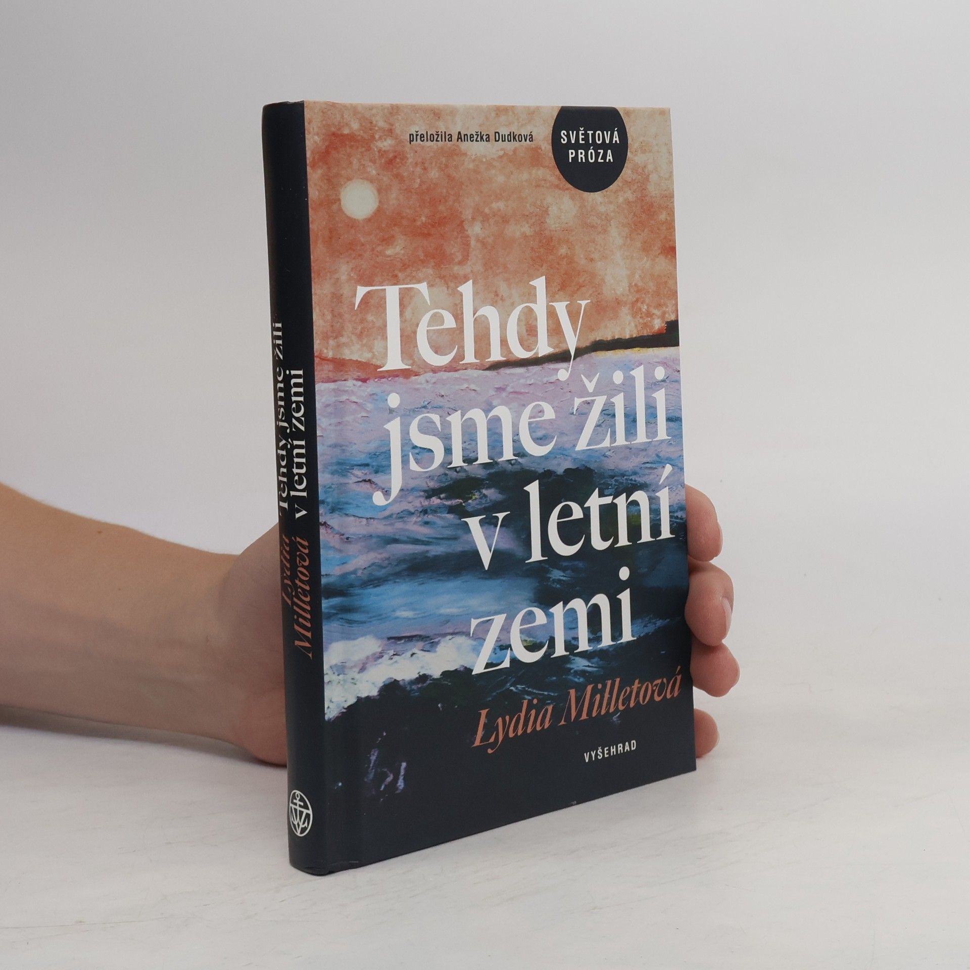 Lydia Millet Tehdy jsme žili v letní zemi