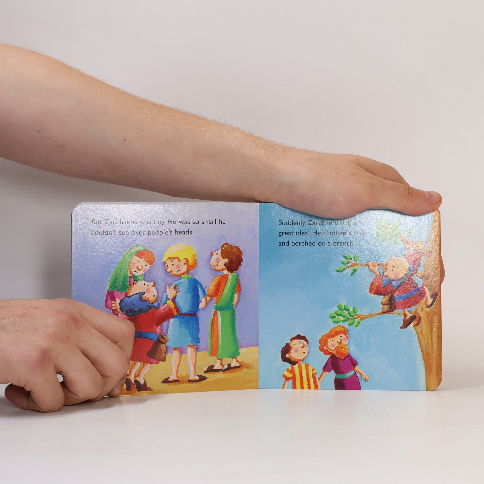 Hannah Wood Tiny Readers: Zacchaeus