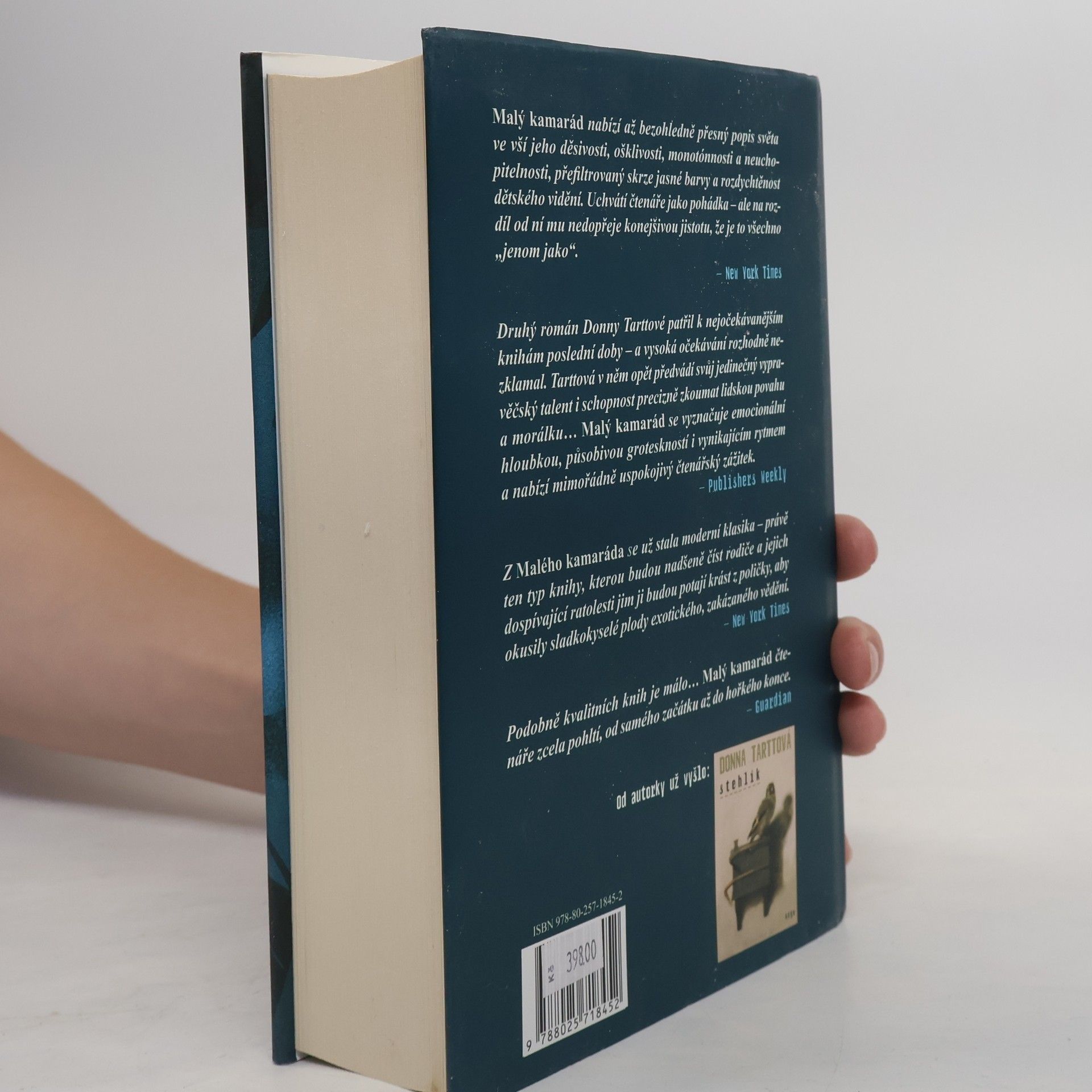 Donna Tartt Malý kamarád