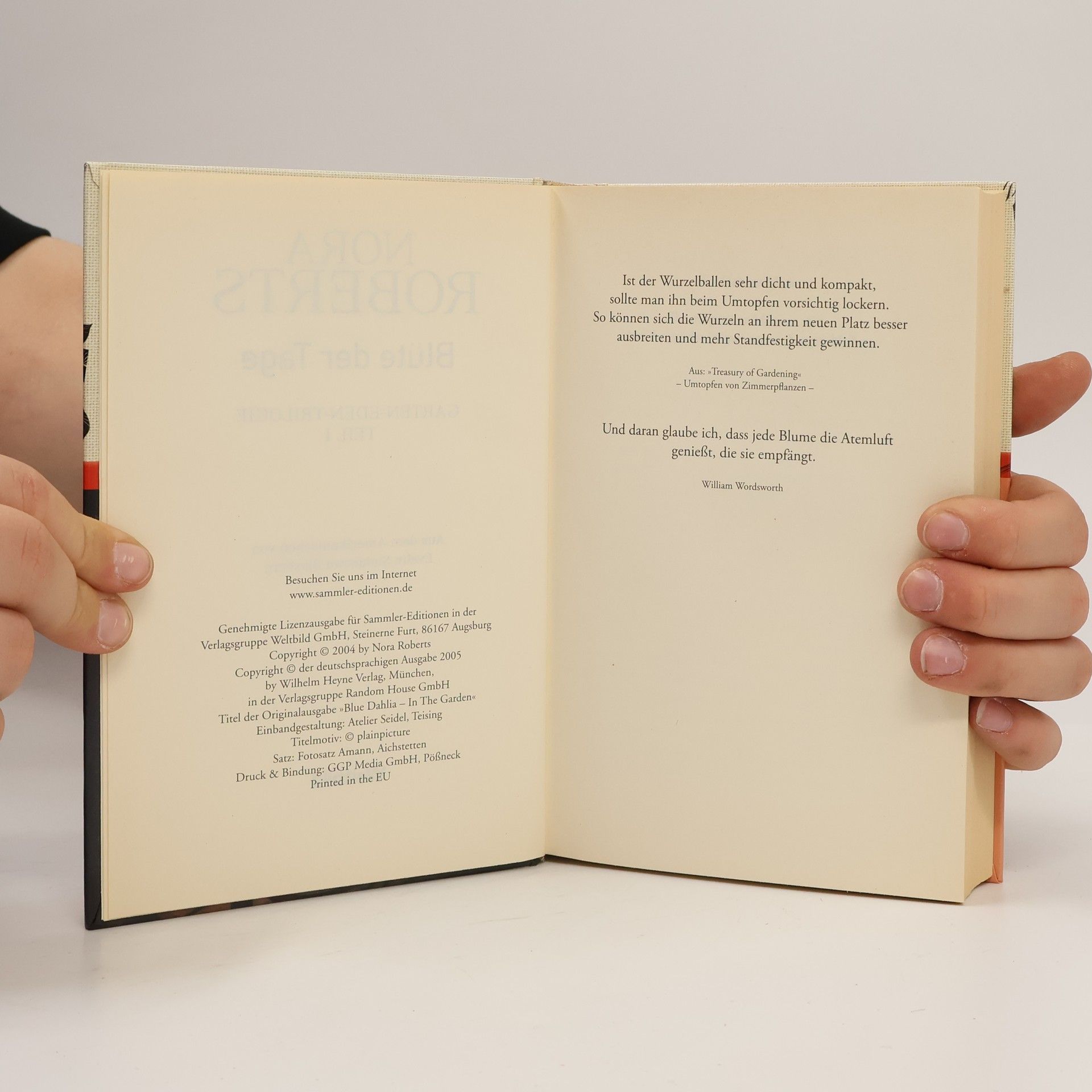 Nora Roberts Blüte der Tage