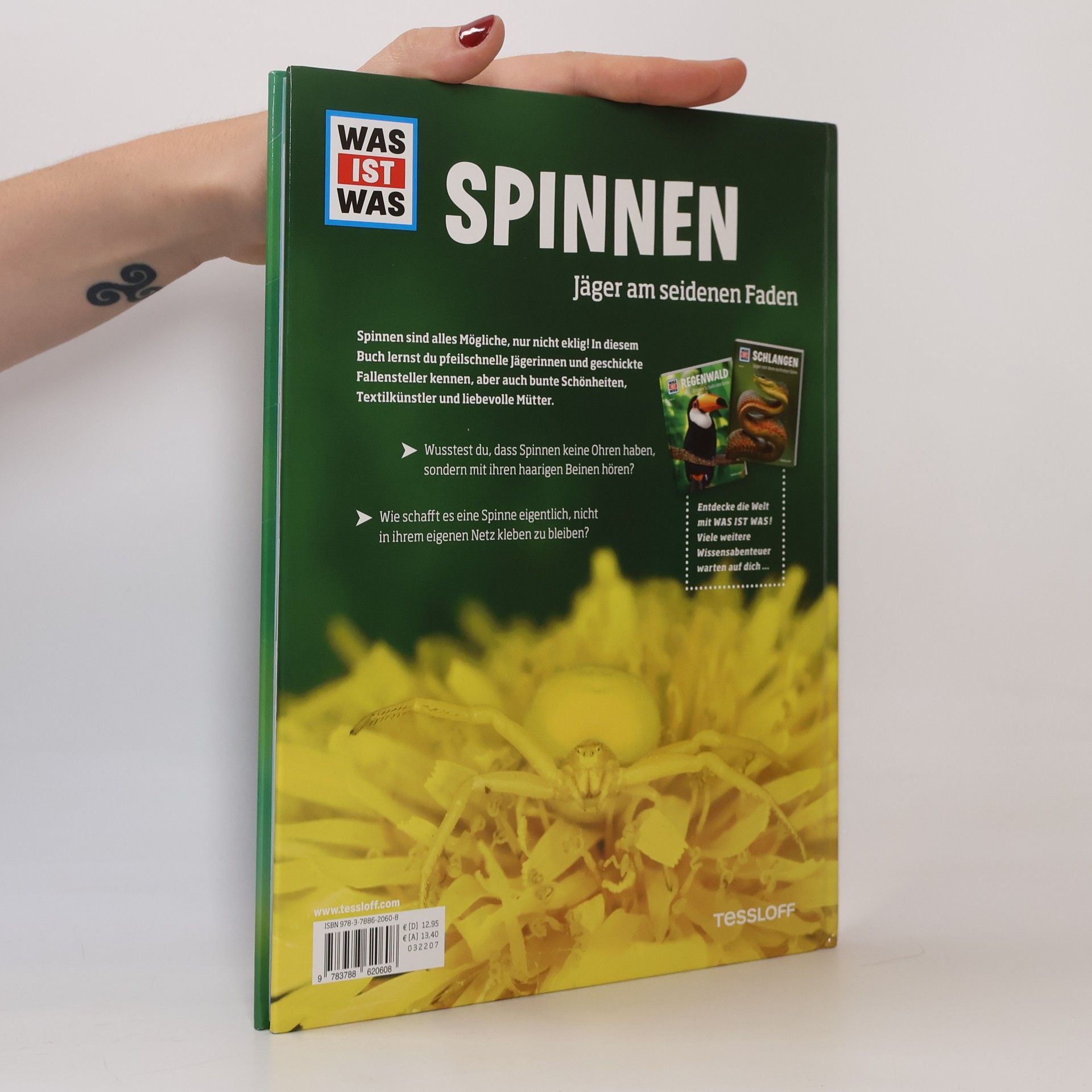 Alexandra Rigos Spinnen