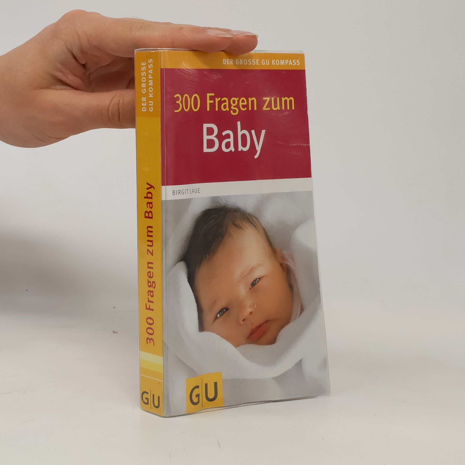 Birgit Laue 300 Fragen zum Baby