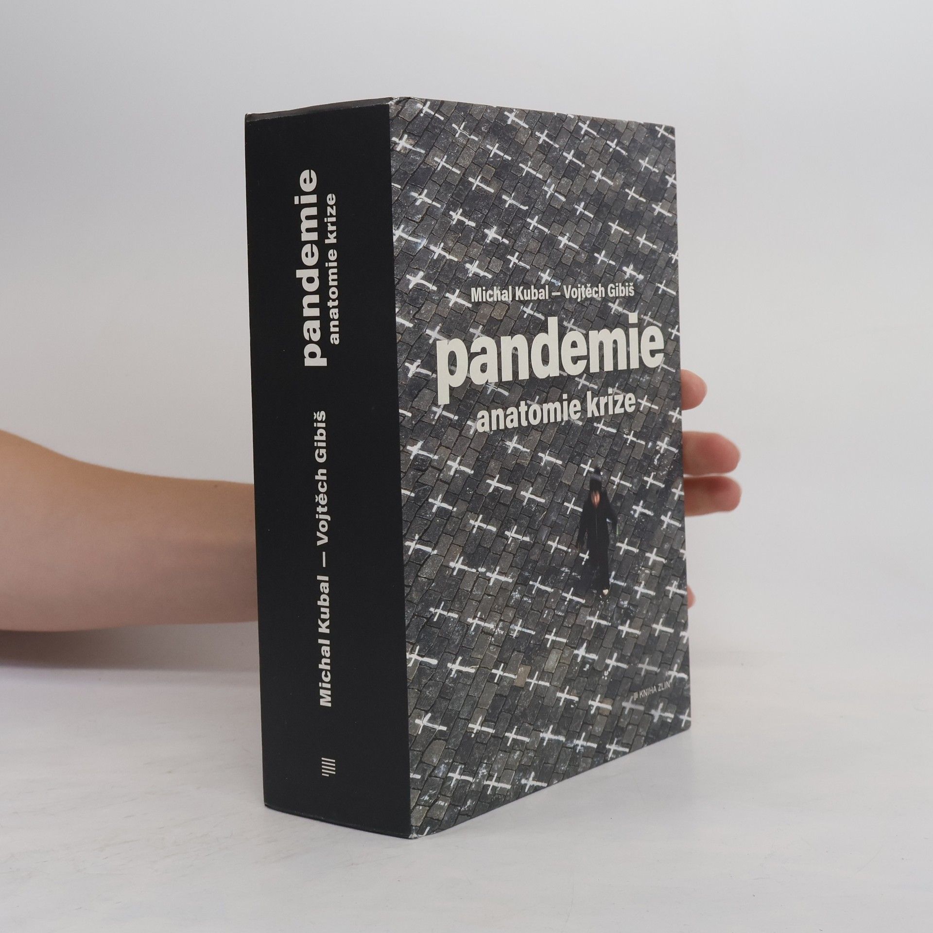 Vojtěch Gibiš Pandemie : anatomie krize