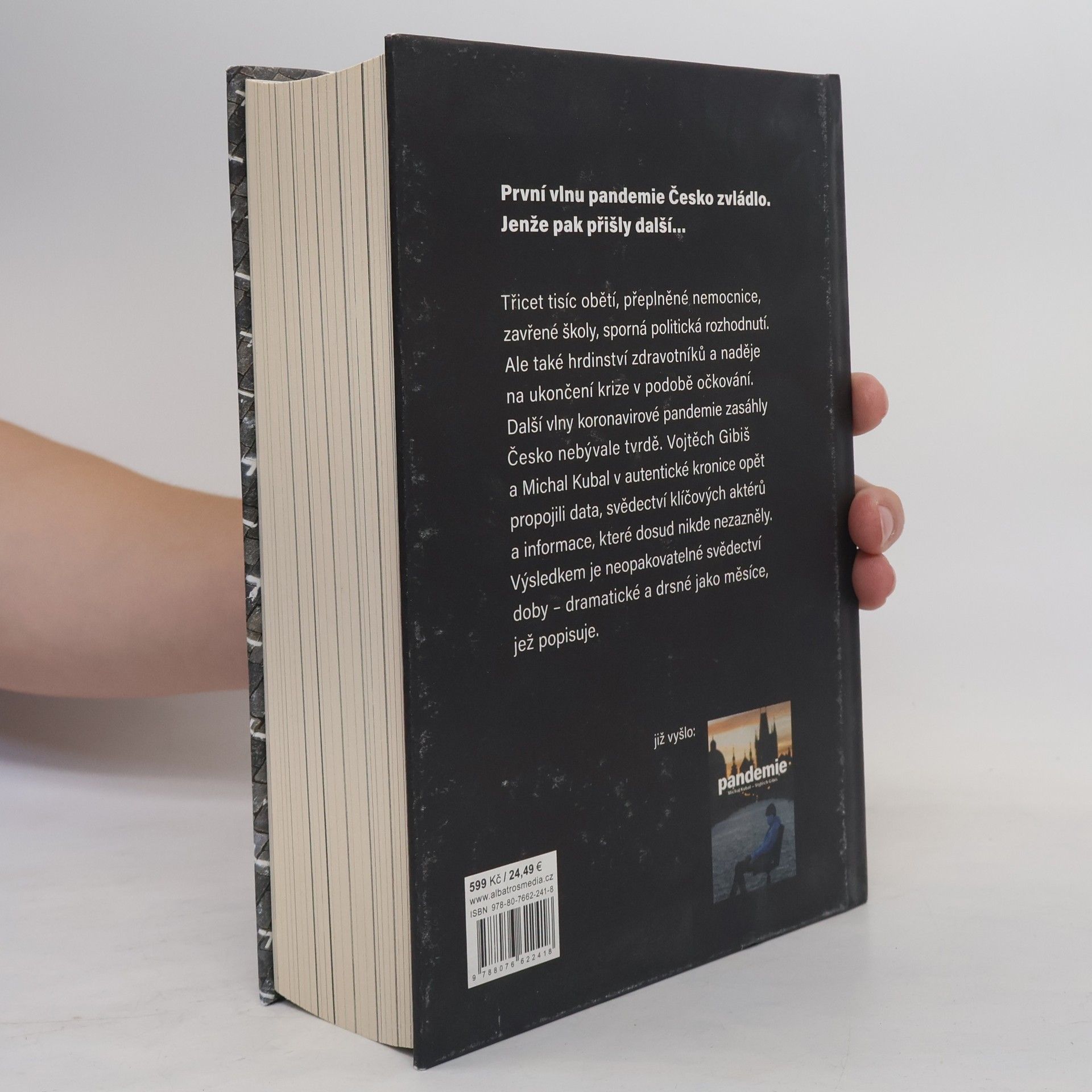 Michal Kubal Pandemie : anatomie krize