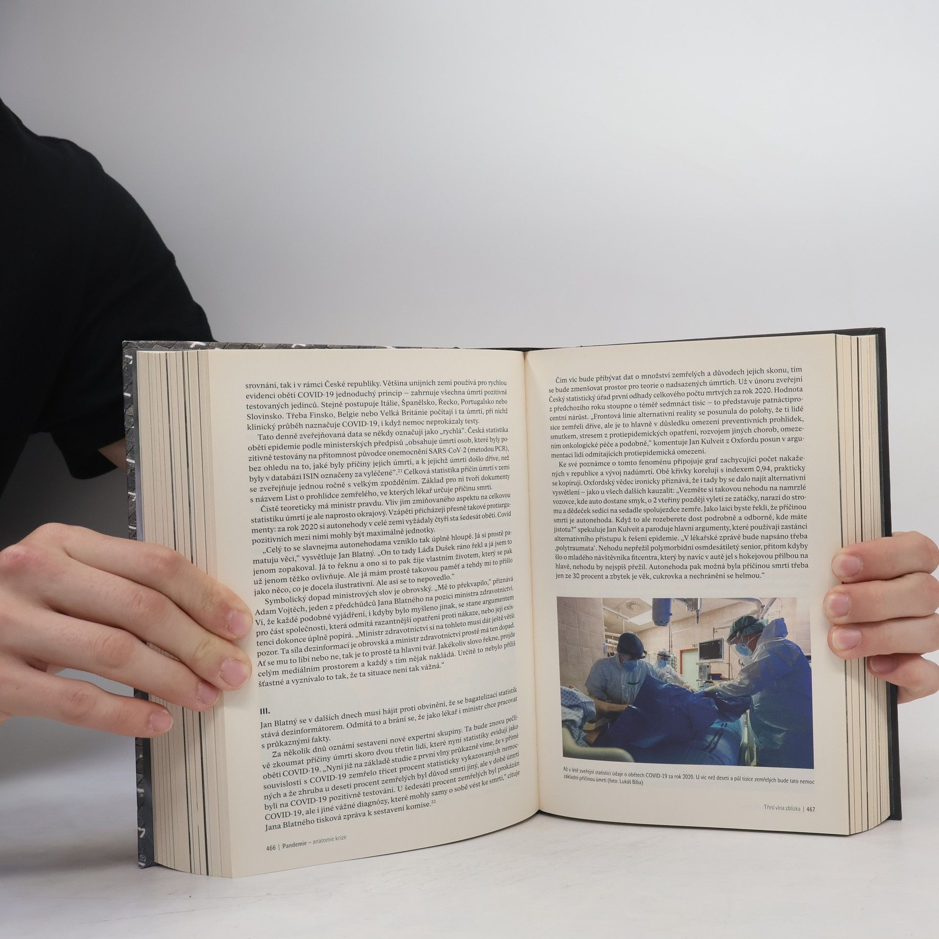 Michal Kubal Pandemie : anatomie krize