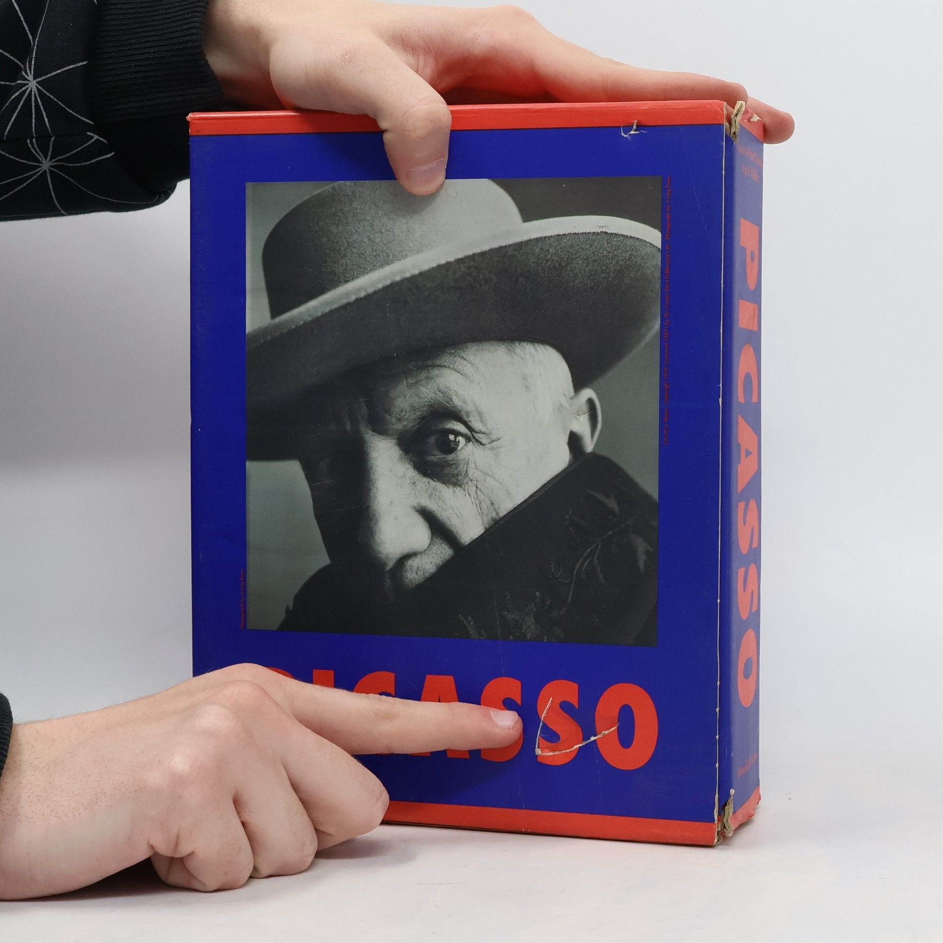 Pablo Picasso Pablo Picasso I. a II. (2 svazky, box)