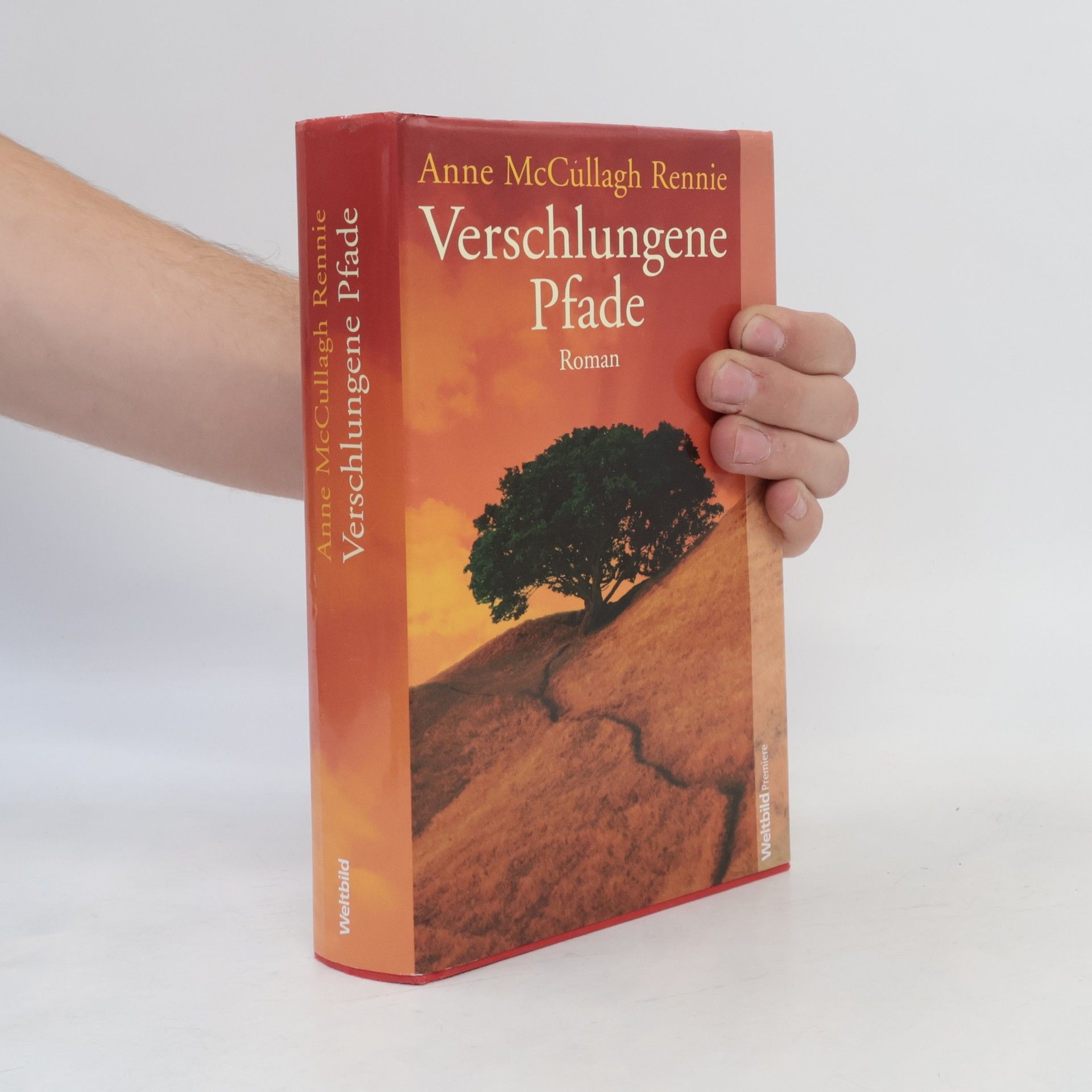 Anne McCullagh Rennie Verschlungene Pfade