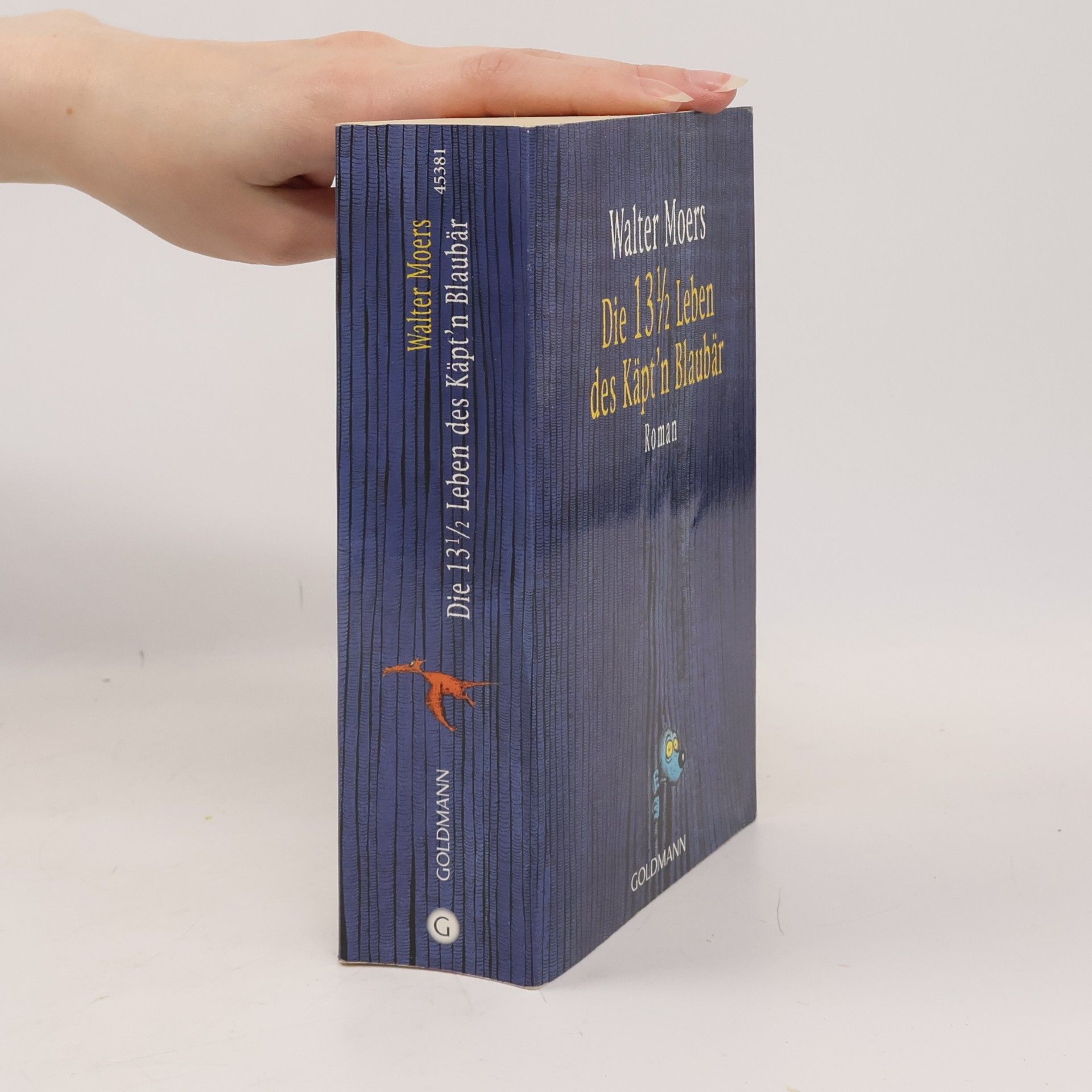 Walter Moers Die 13 1/2 Leben des Käpt'n Blaubär
