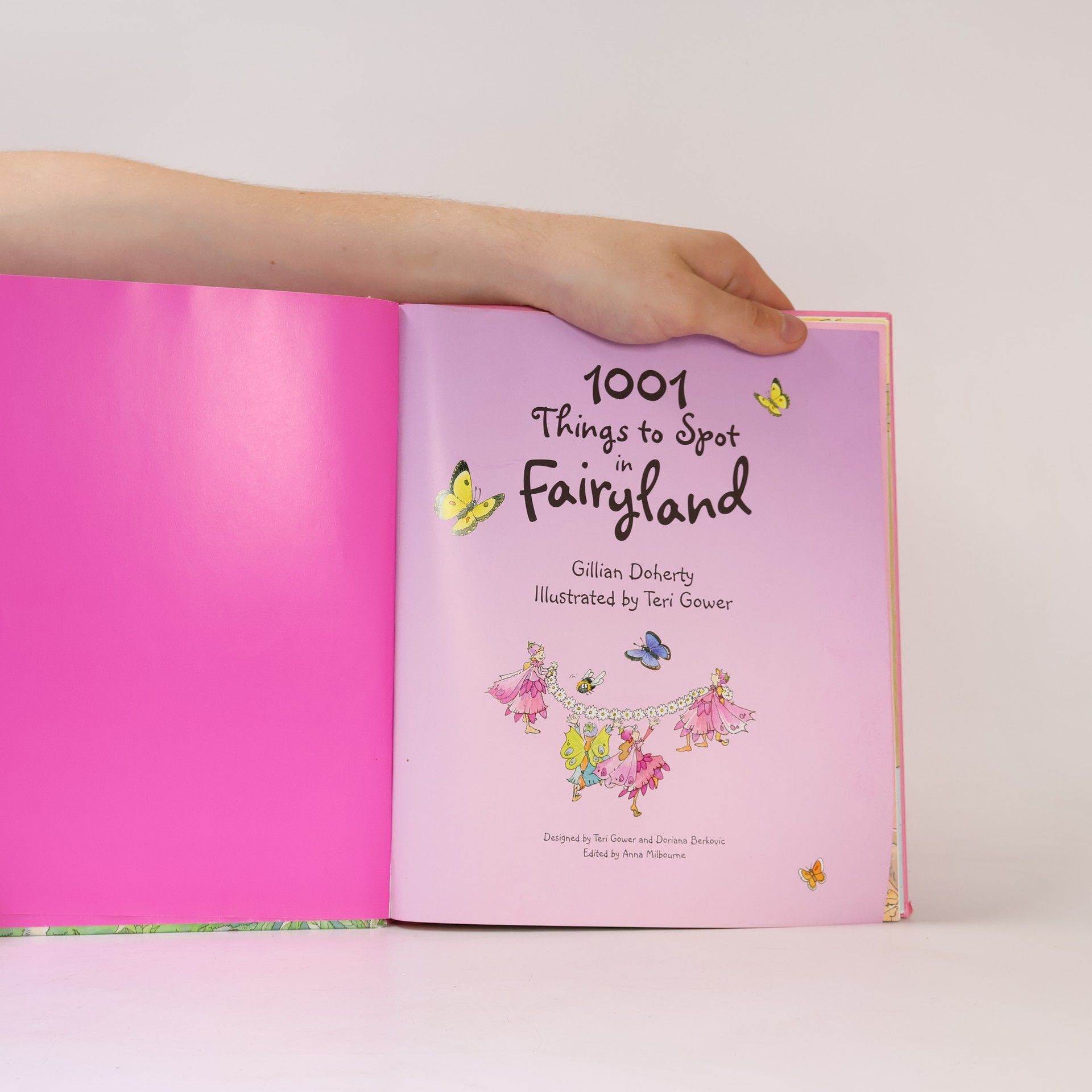 Gillian Doherty 1001 Things to Spot in Fairyland