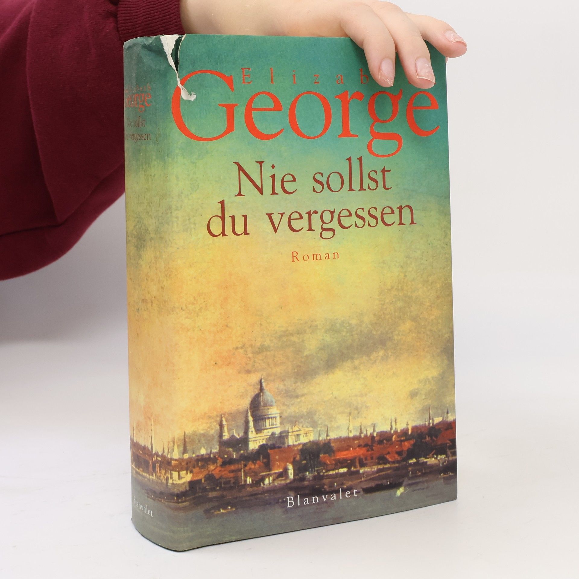 Elizabeth George Nie sollst du vergessen