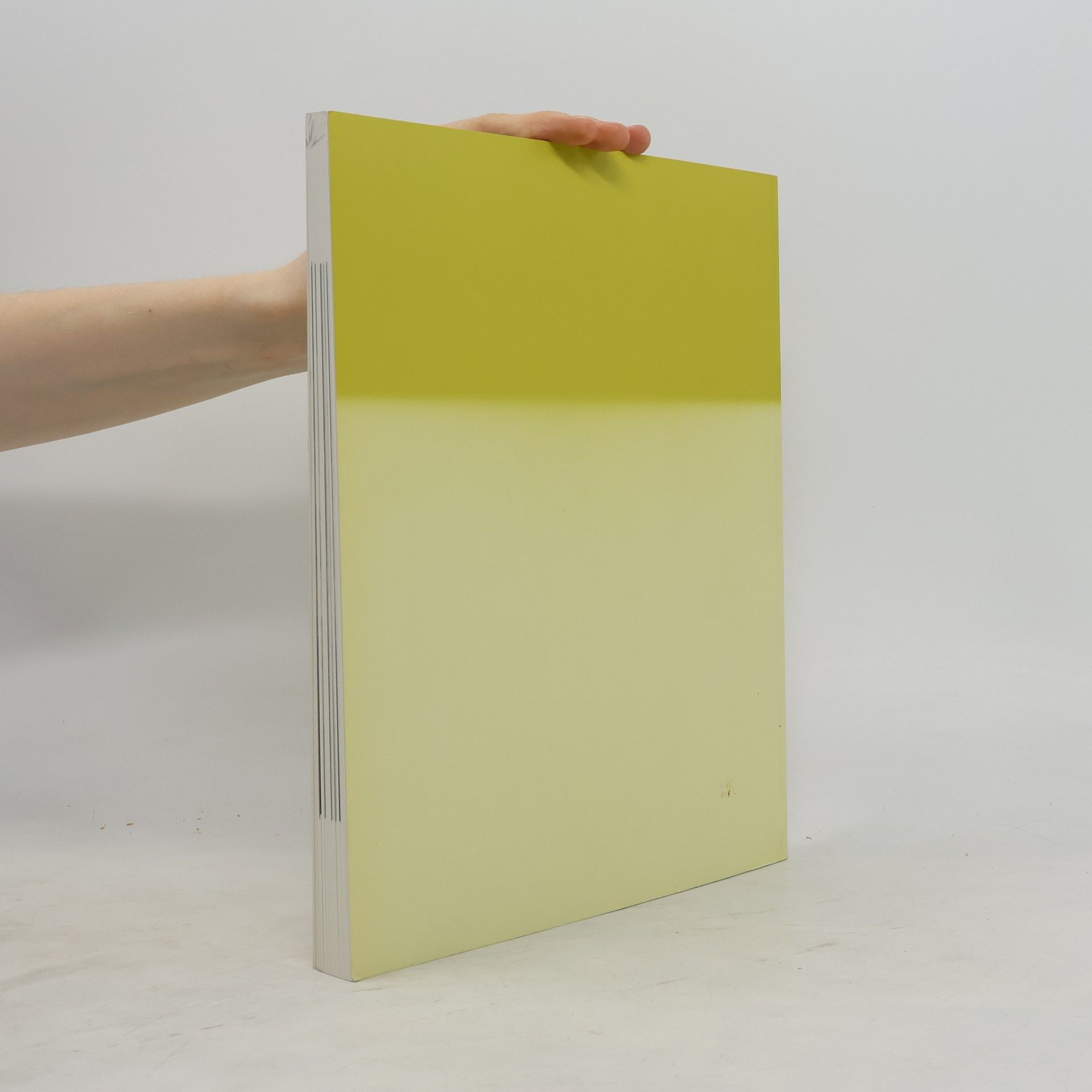 Ursula Bauer Der transparente Raum