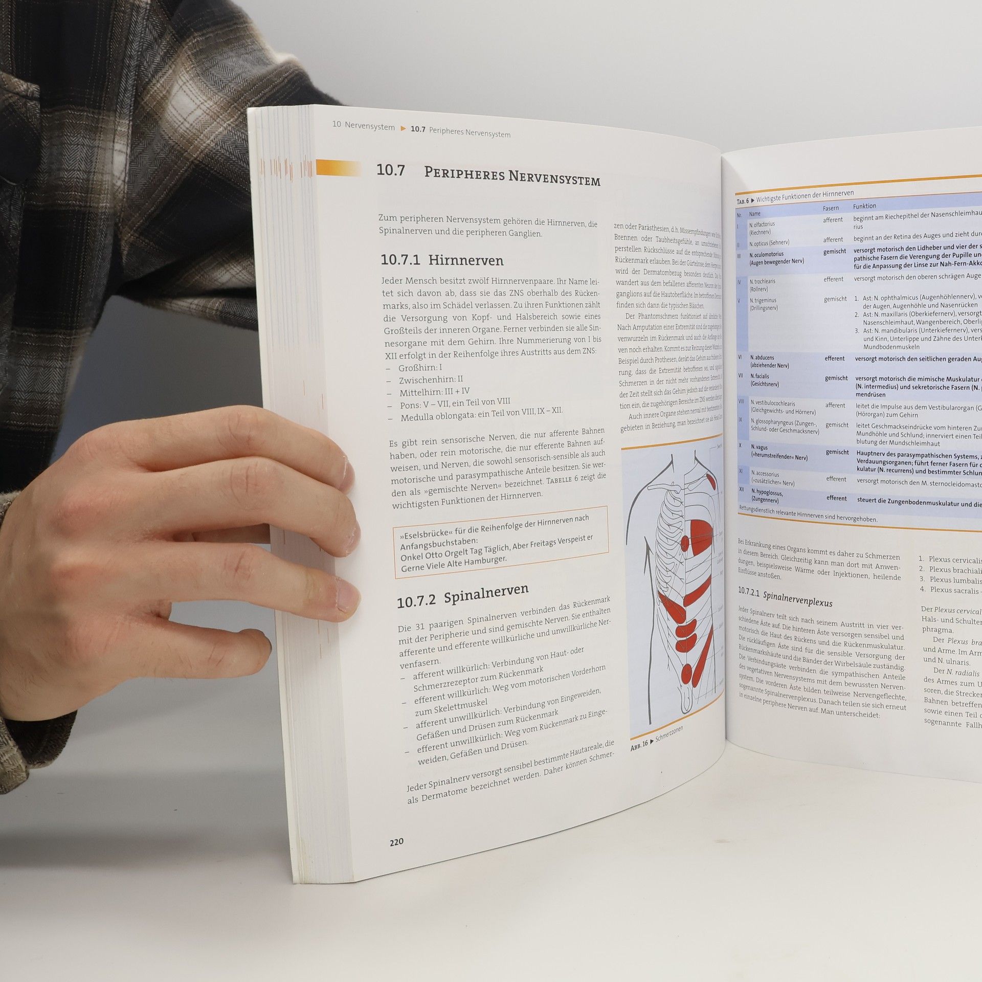 Anne Stege Lehrbuch für präklinische Notfallmedizin