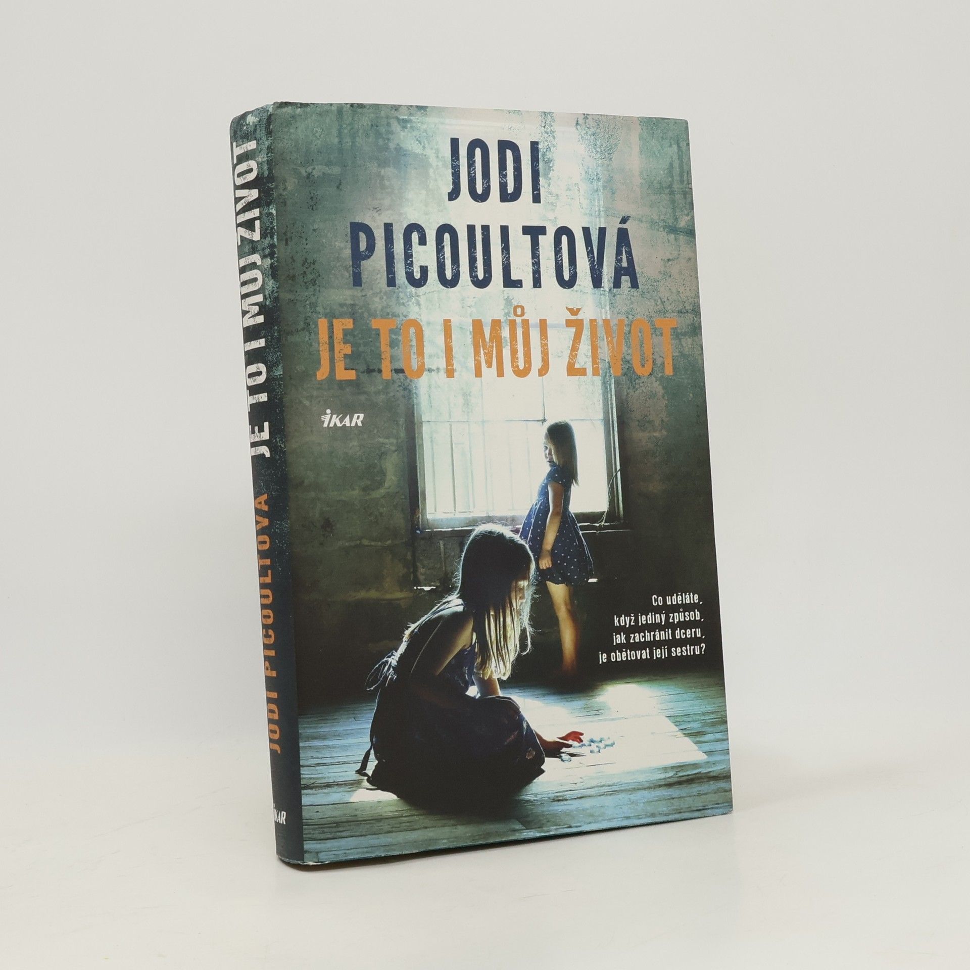 Jodi Picoult Je to i můj život