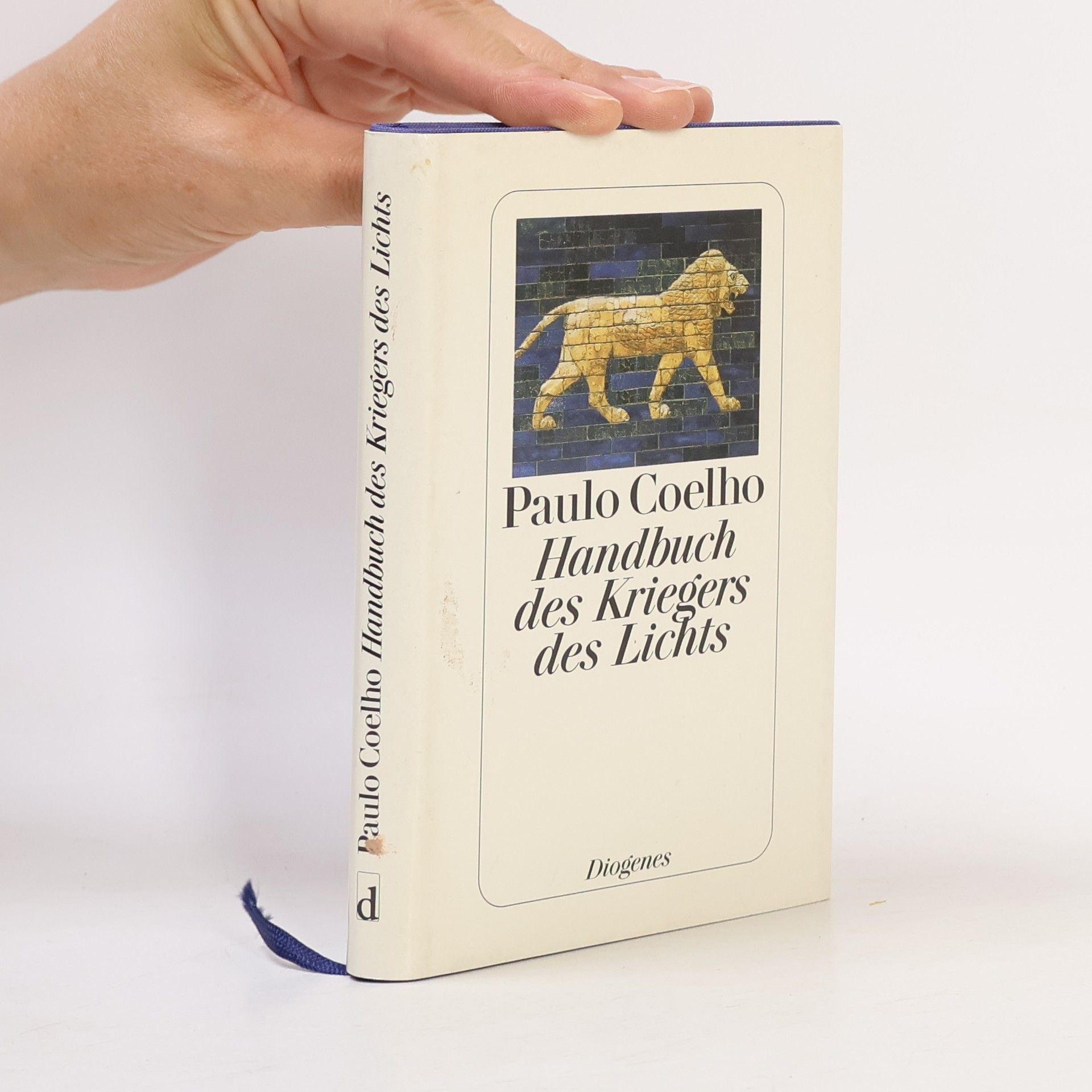 Paulo Coelho Handbuch des Kriegers des Lichts