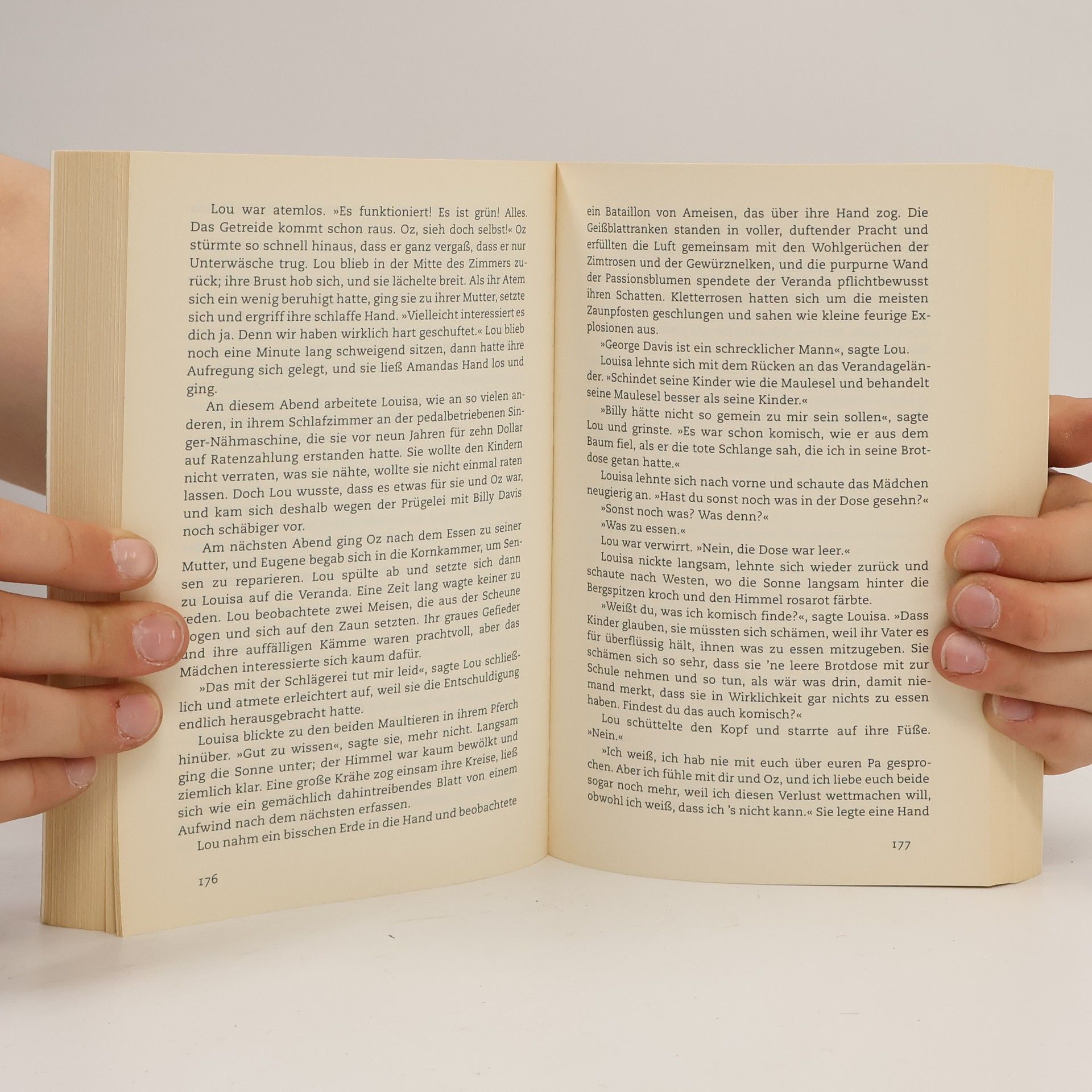 David Baldacci Das Versprechen