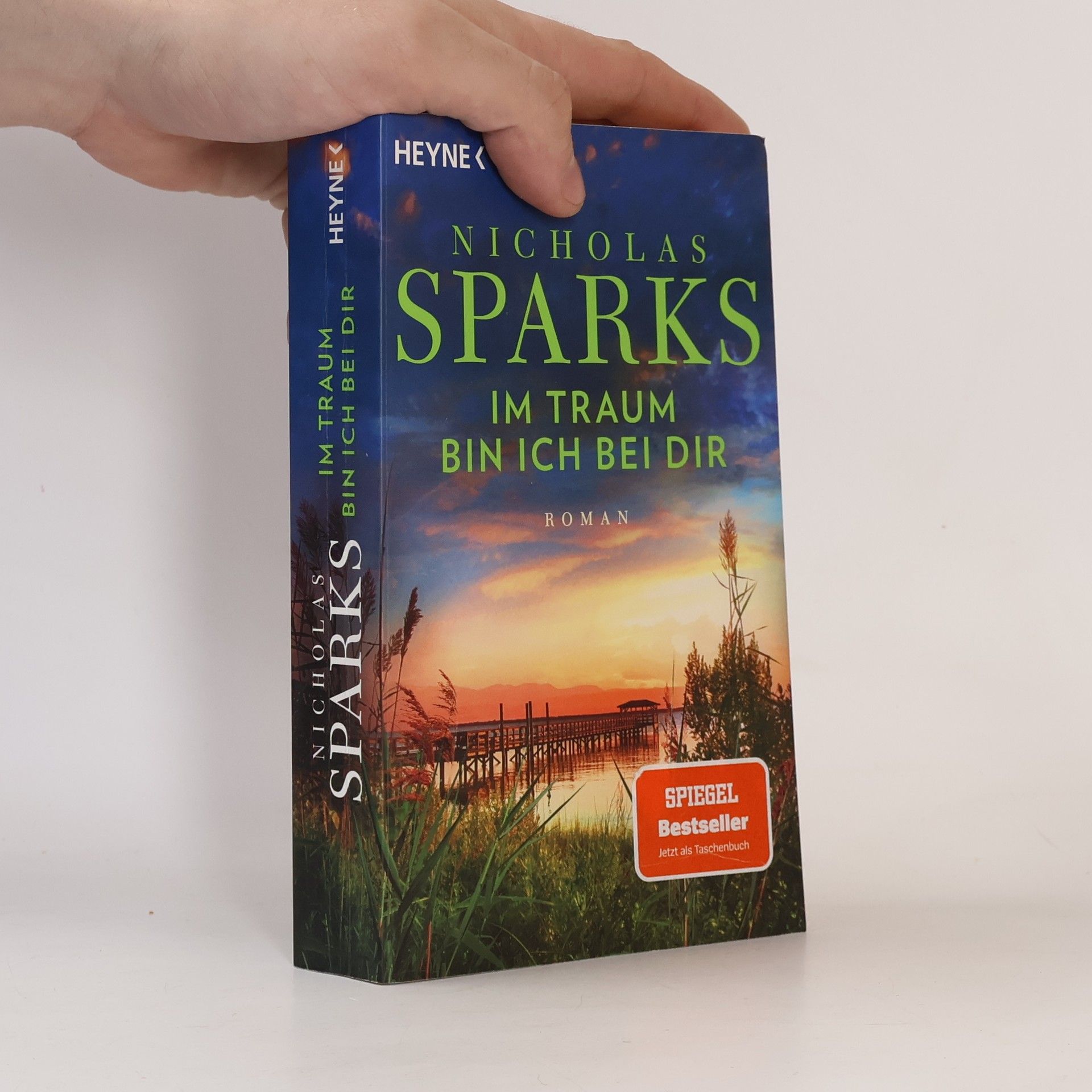 Nicholas Sparks Im Traum bin ich bei dir